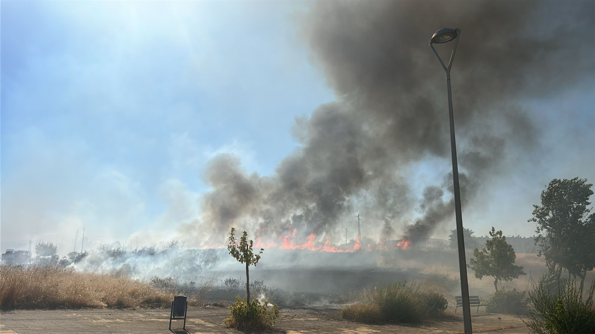 Incendio en Mérida, en la zona de pastos de la Heredad