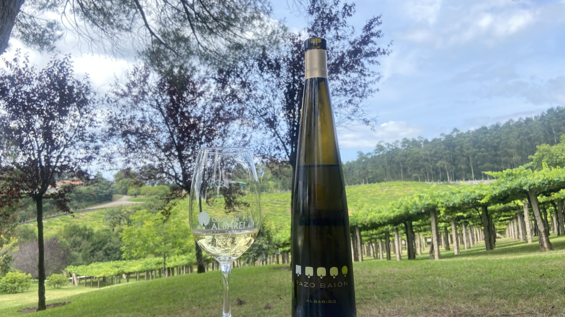 Pazo Baión: el alma del Albariño gallego que triunfa en medio mundo