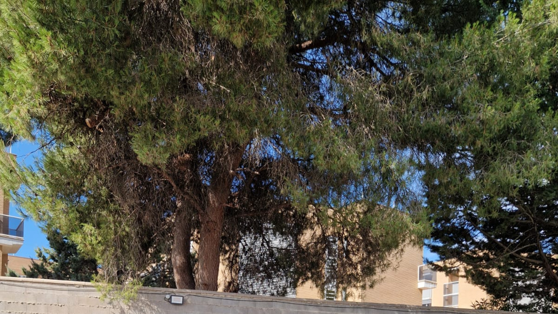 LDR Academy: La primera escuela de pilotaje de motos en Albacete nace del sueño del joven Luis Díez