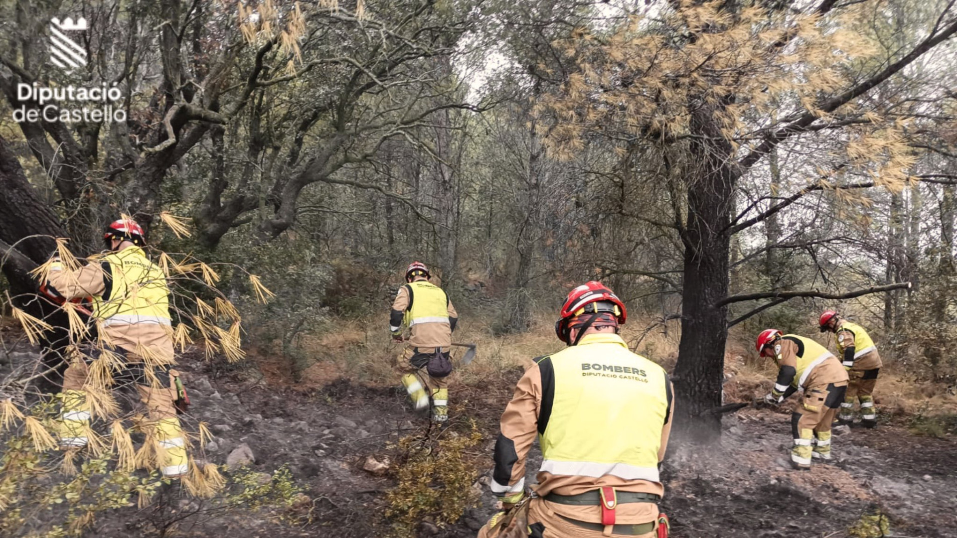 Las tormentas provocan 16 incendios forestales en Castellón