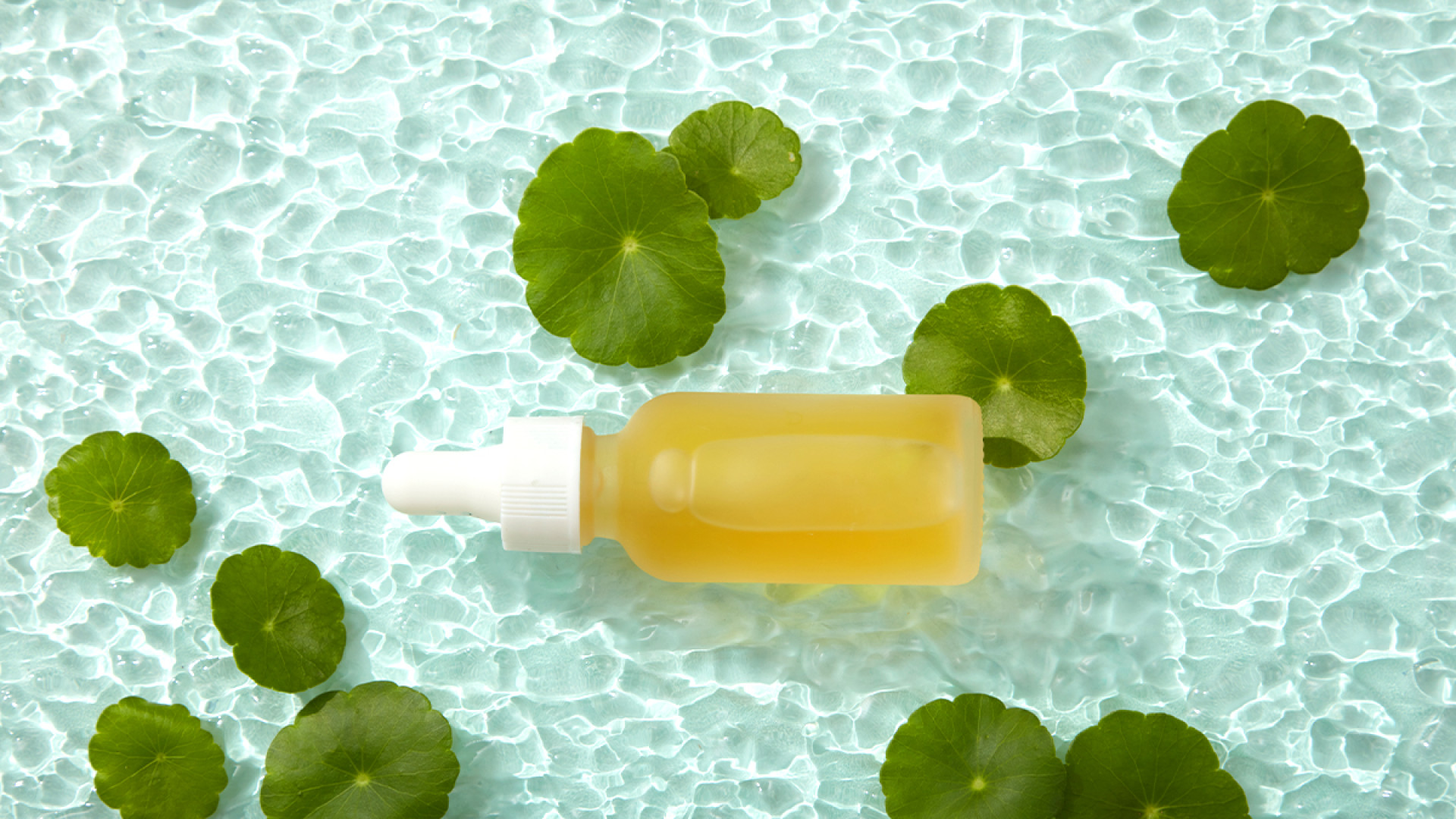 Recupera tu brillo: La fórmula natural de centella y vitamina C que transforma tu piel