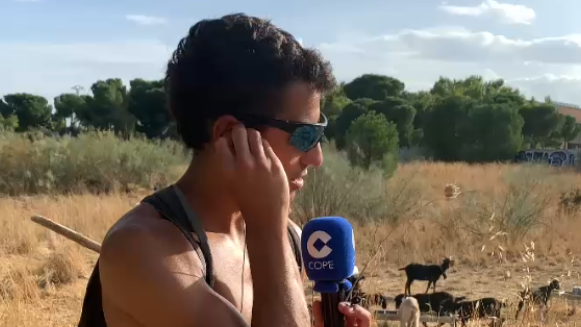 Javier es psicólogo, pero 300 cabras se cruzaron en su vida para ser pastor: "Se extrañan porque soy joven y tengo un trabajo de campo"