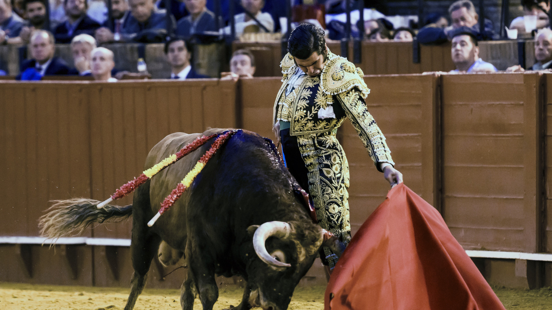 Morante de la Puebla recibirá el Premio Taurino 'Ayuntamiento de Sevilla 2025'