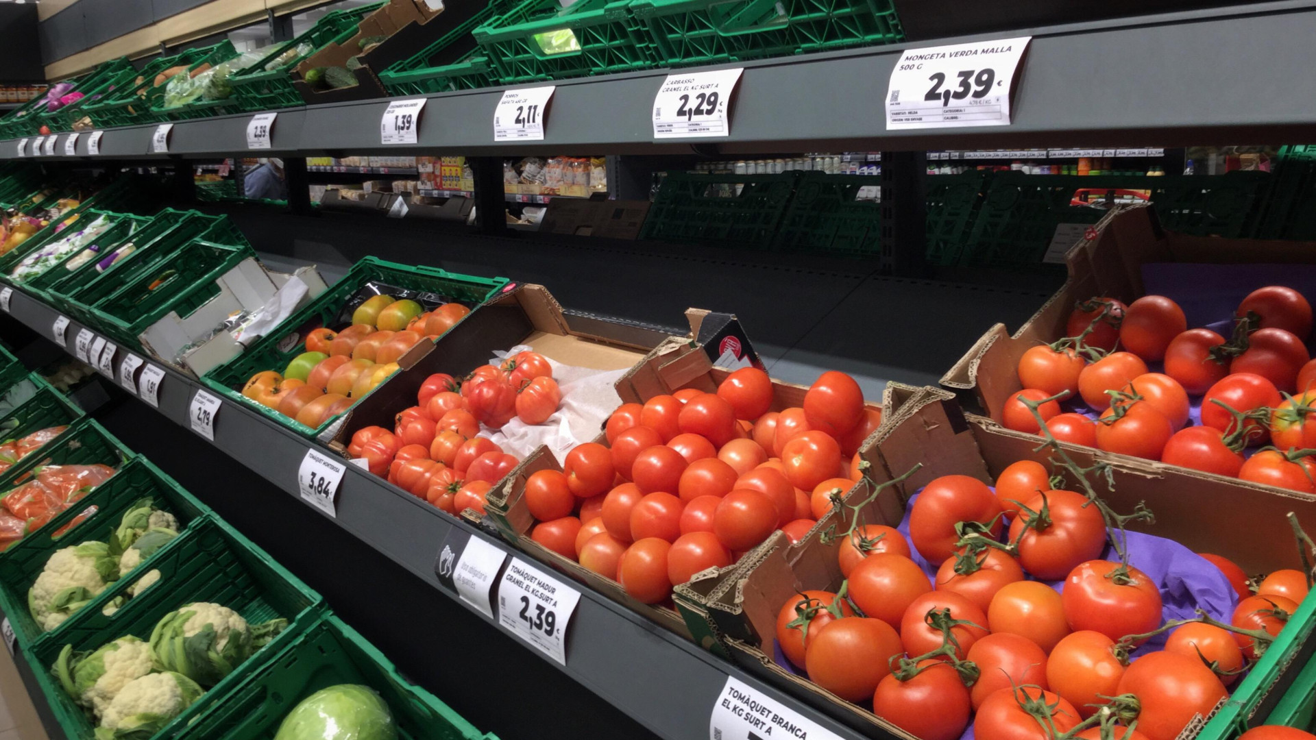 Andrés Góngora, agricultor experto en tomates: "Cada vez hay más de Marruecos, si aquí se cobra una jornada laboral a 90 euros, allí son ocho"