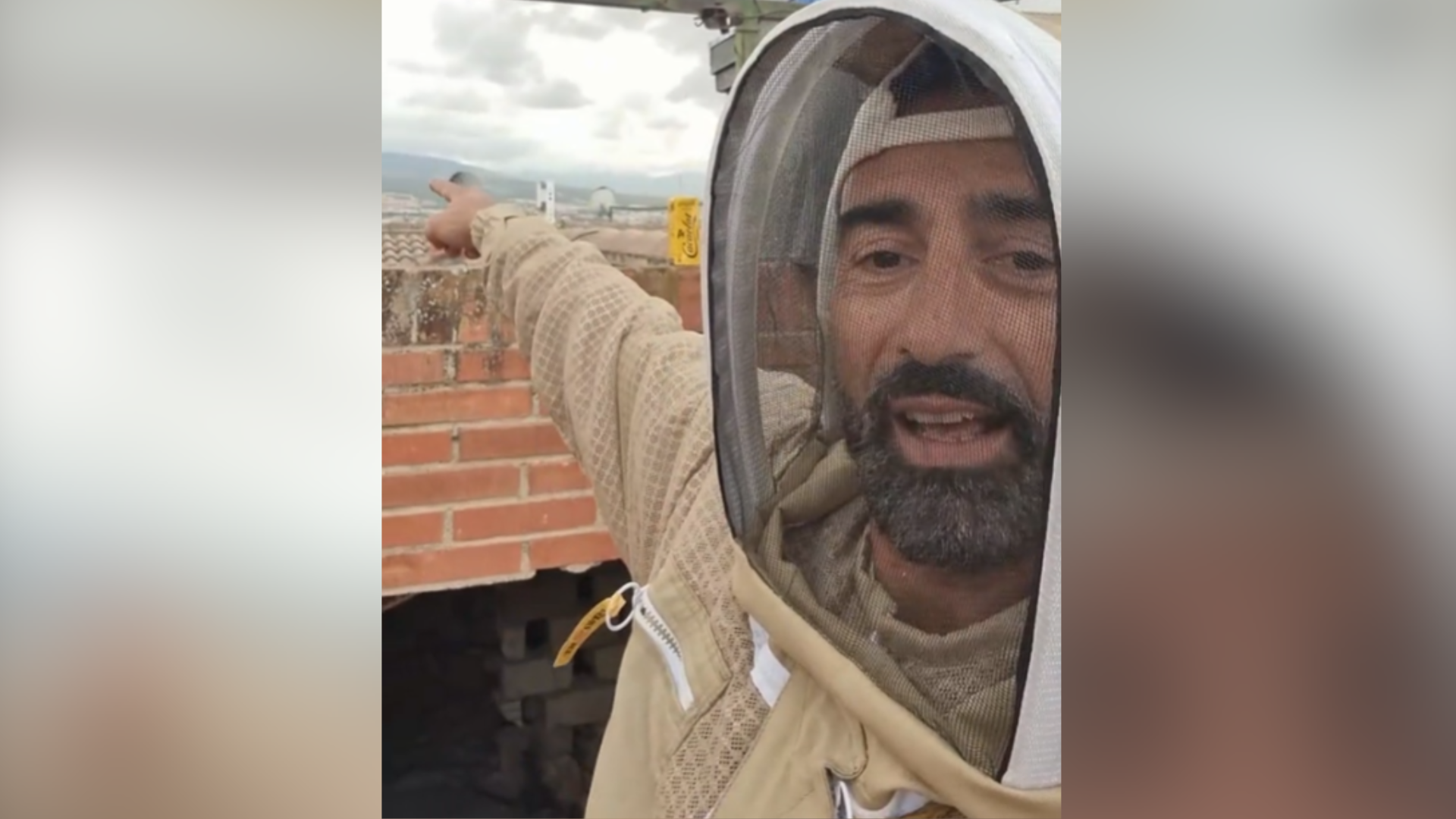 Una comunidad de vecinos de Granada vive siete años con 100.000 abejas y no se creen cómo tienen que quitarlas: "Es la más difícil a la que me he enfrentado"