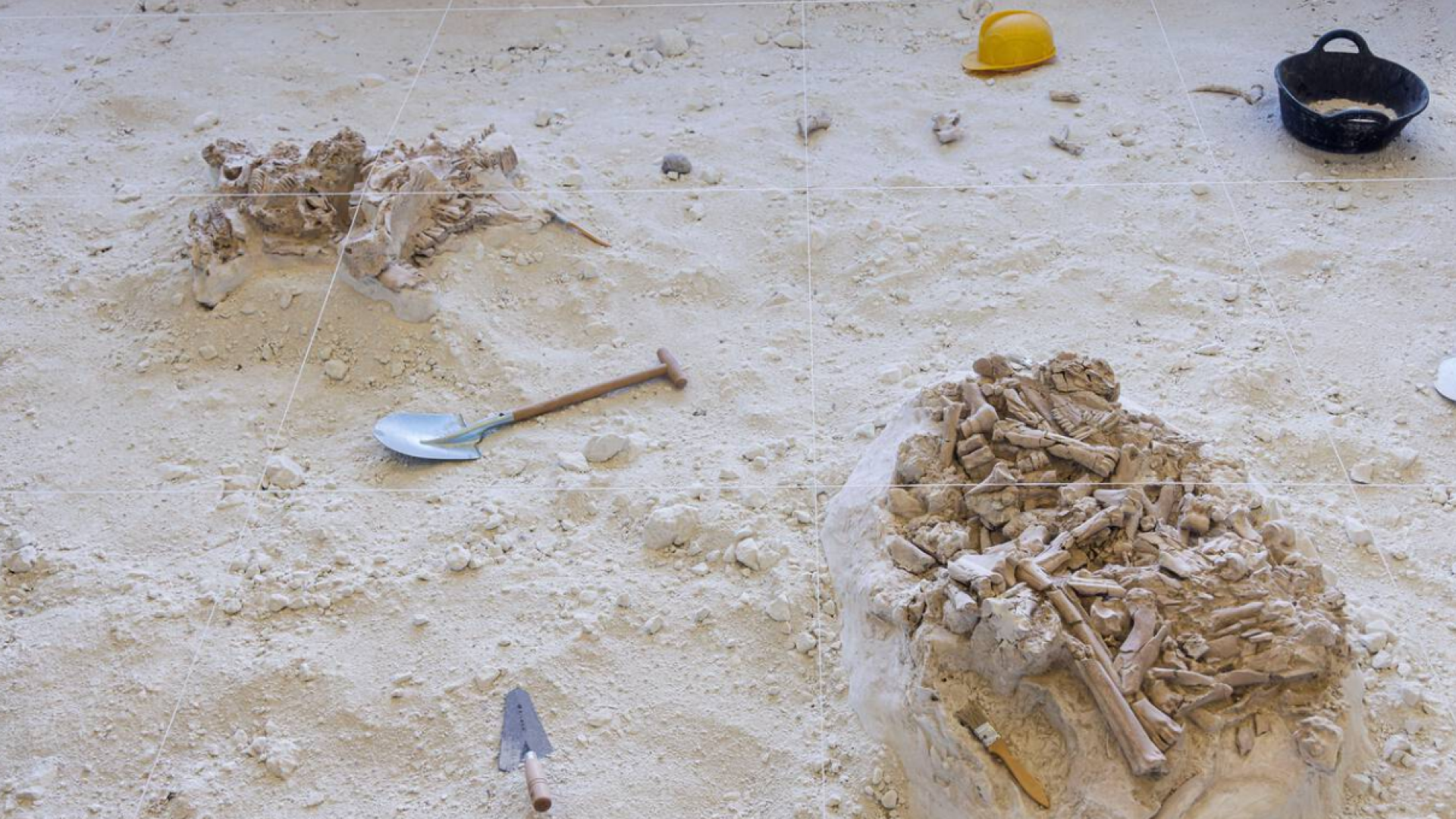 El increíble hallazgo en Orce que revela cómo las lluvias hace 1,4 millones de años crearon el taller de herramientas más antiguo de Europa