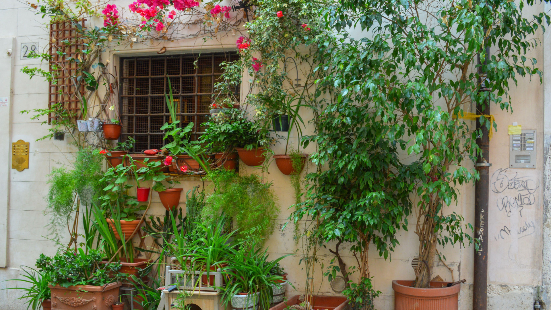 Los vecinos le destrozan las plantas de su ventana en Cuenca y la 'venganza' que planea es aplaudida por el resto: “Mala suerte”