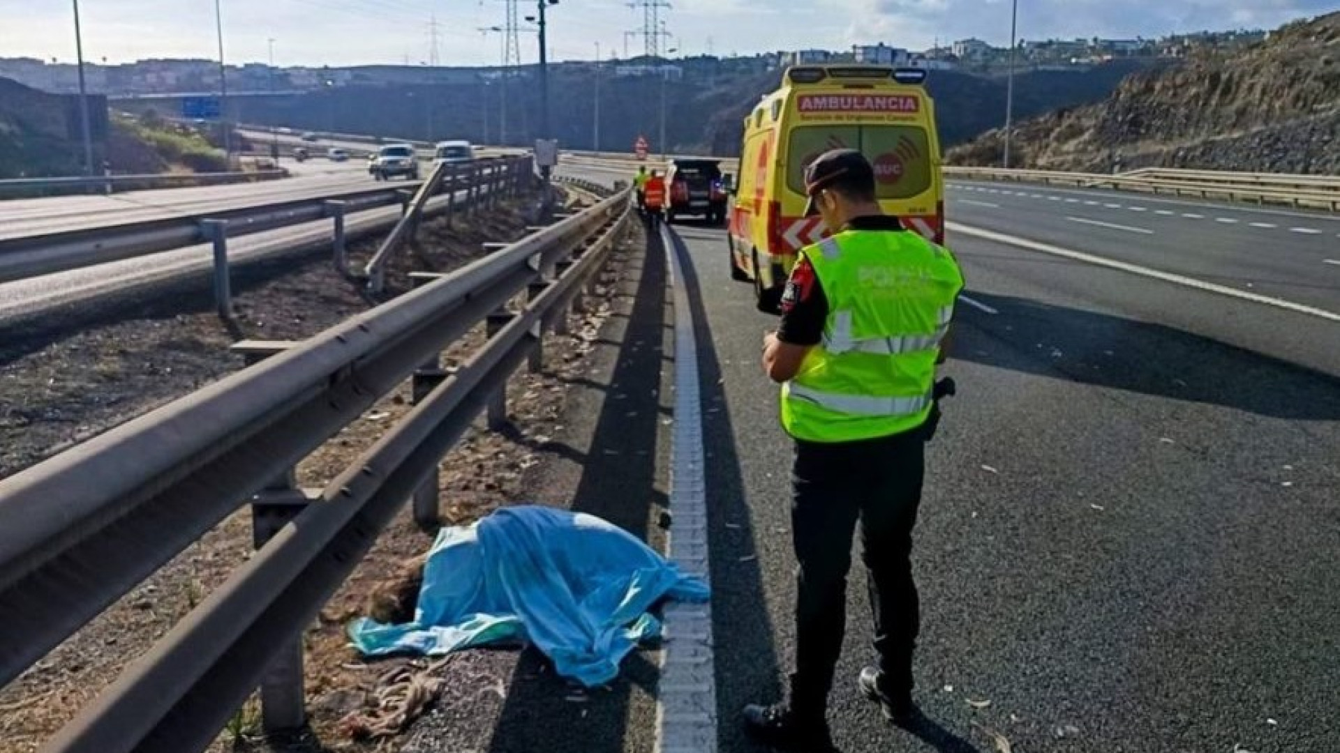 Un emú en la autovía GC-3: así fue el insólito accidente que sorprendió a los conductores en Gran Canaria