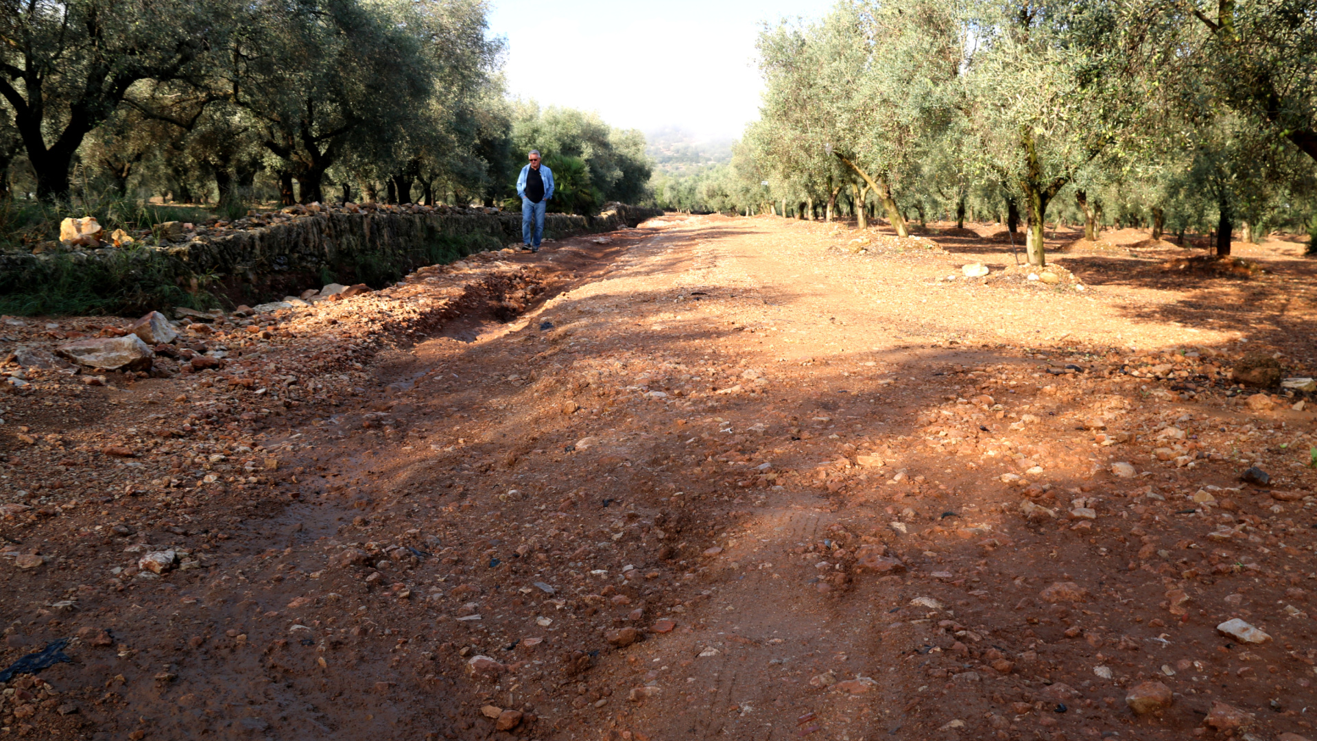 La Región de Murcia impulsa los 'riegos sociales' para rescatar al campo de la sequía extrema