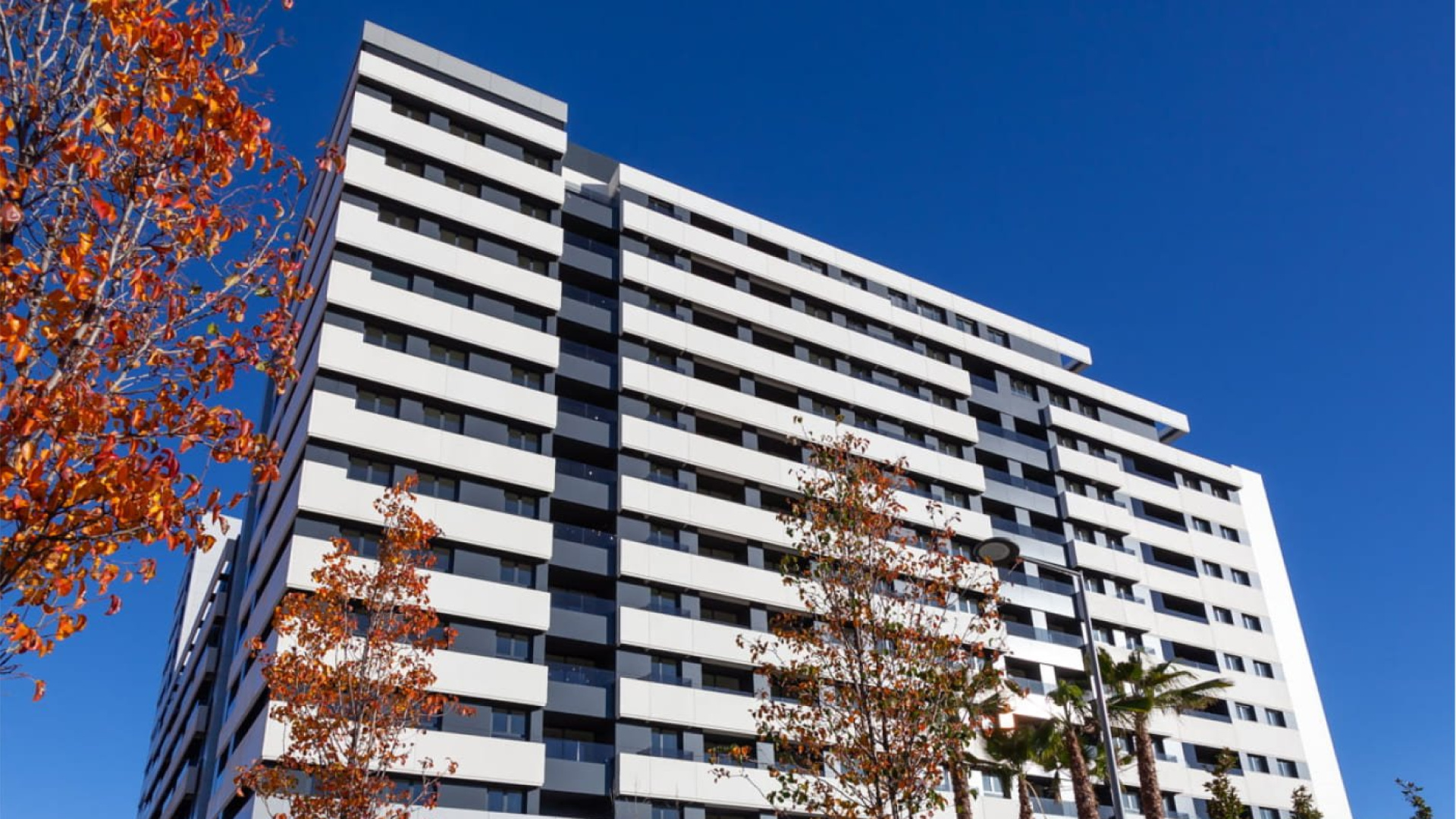 Qué son los edificios cebra y por qué será más rentable si quieres ahí una vivienda: pros y contras