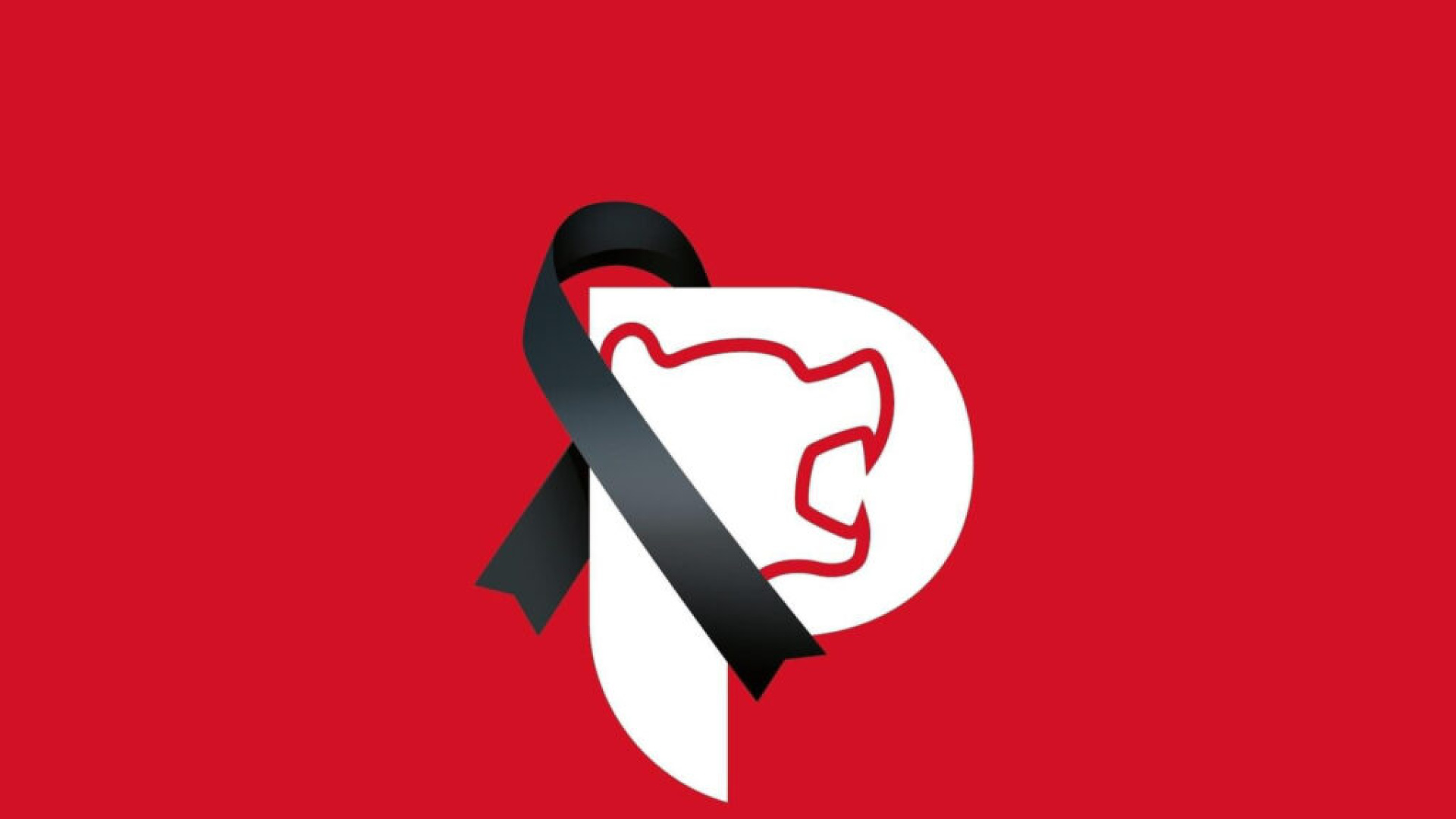 Tragedia en el baloncesto italiano: fallece un conductor de autobús tras el lanzamiento de piedras