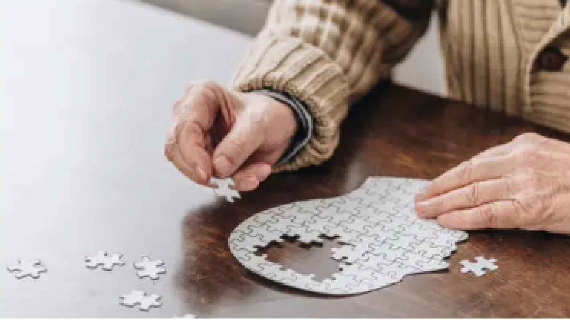 Un estudio demuestra que la flora intestinal es clave para la pérdida de memoria: 