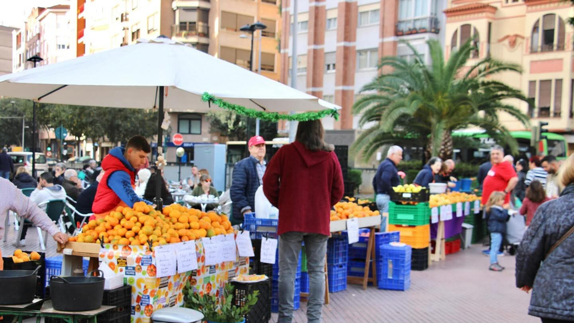 El Mercat de la Taronja de Castellón cierra una campaña hist