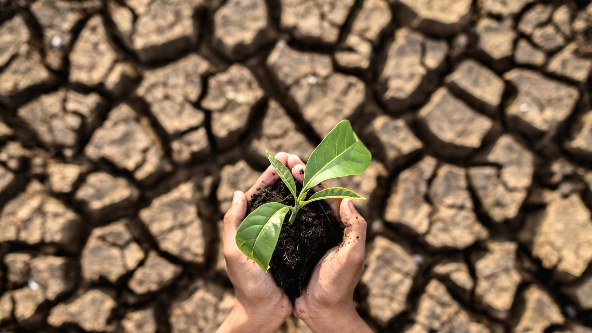 Málaga se rebela contra el cambio climático: así combate la provincia el aumento de las temperaturas, estimado en 1'2 grados para 2040