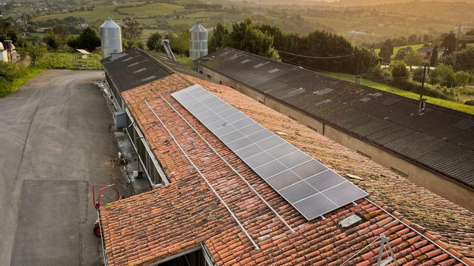 Marta, avicultora con 80.000 gallinas: "No sabemos muy bien de dónde vienen los focos de contagio, si es por el aire, las personas, los vehículos..."