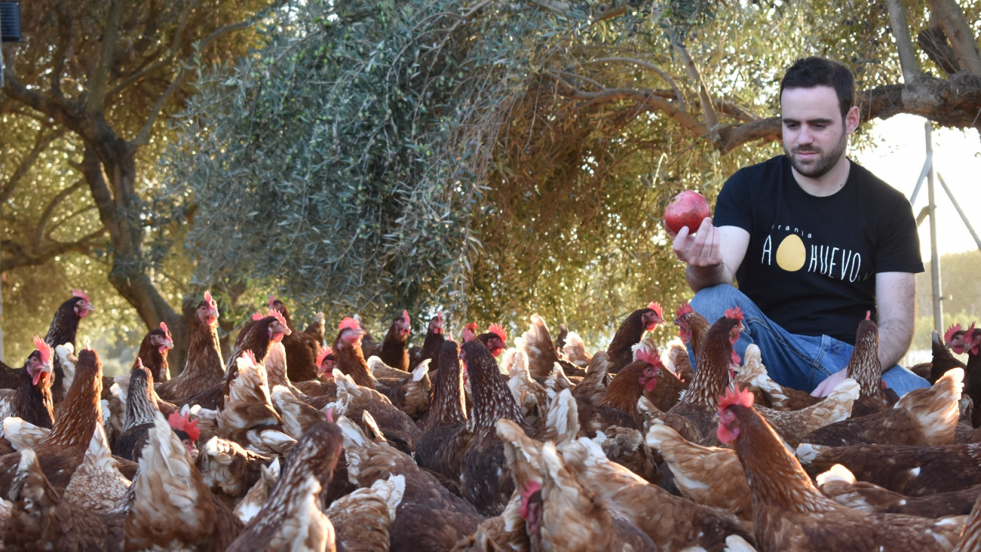 La gripe aviar acorrala a las granjas de Córdoba: "Es una ruleta rusa que nos quita el sueño"