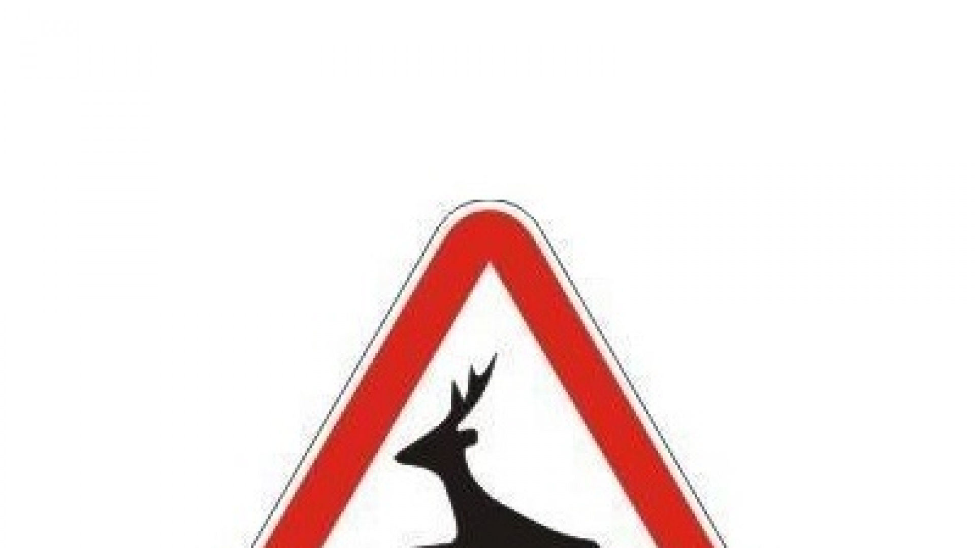 COAG Soria exige un mayor control cinegético para atajar la "brutal" cifra de accidentes con animales