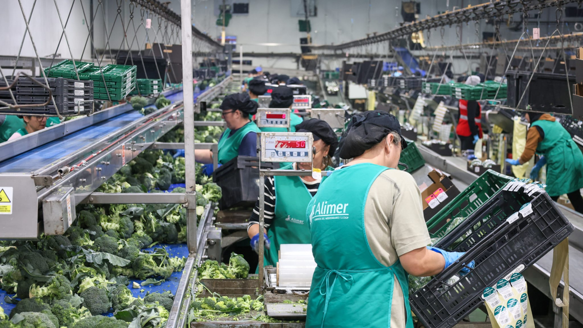 Educación podrá acreditar la experiencia de los trabajadores de Lorca sin que necesiten un título oficial