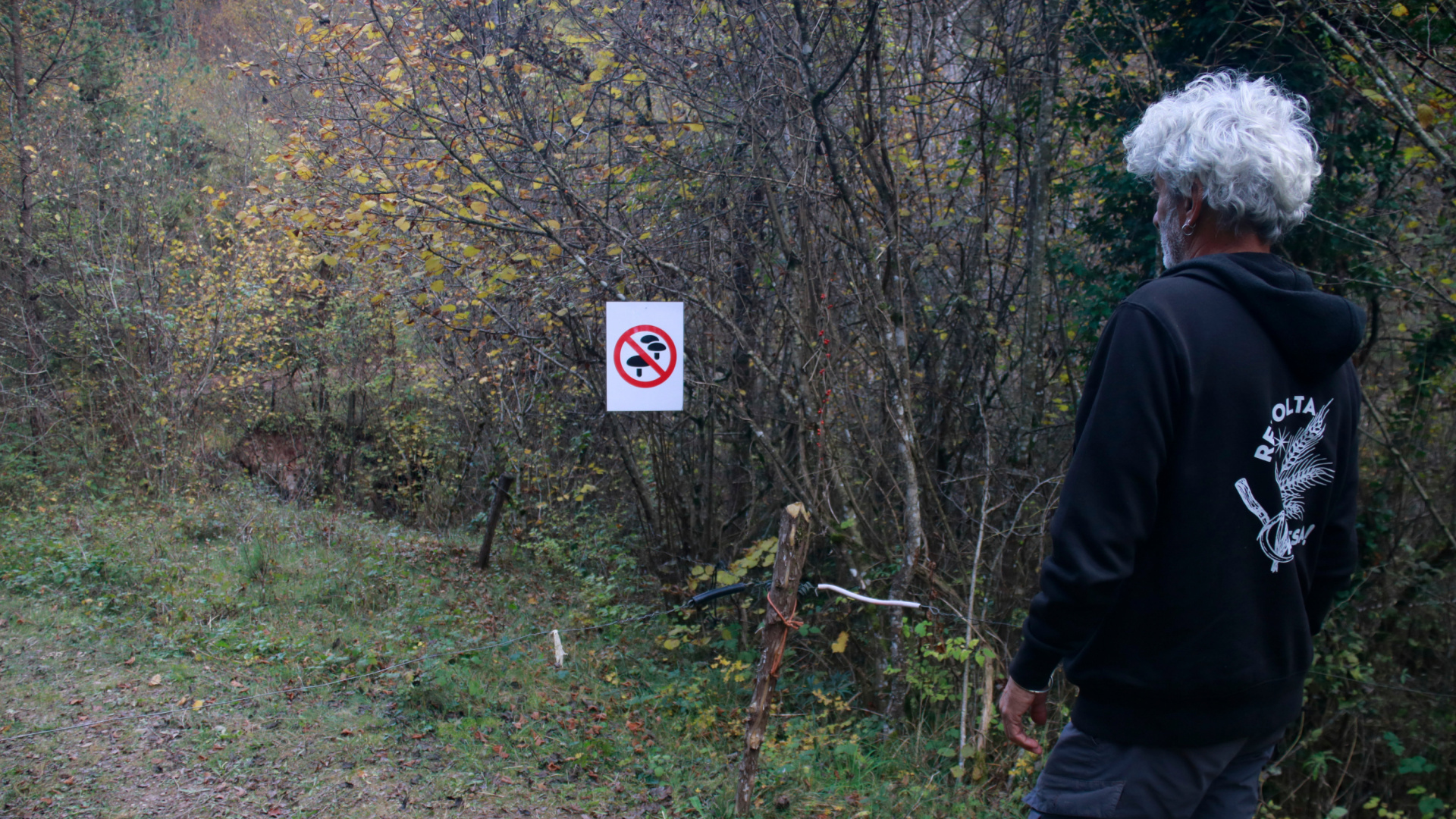 Les Llosses (Girona) encuentra la fórmula para frenar el incivismo de los buscadores de setas