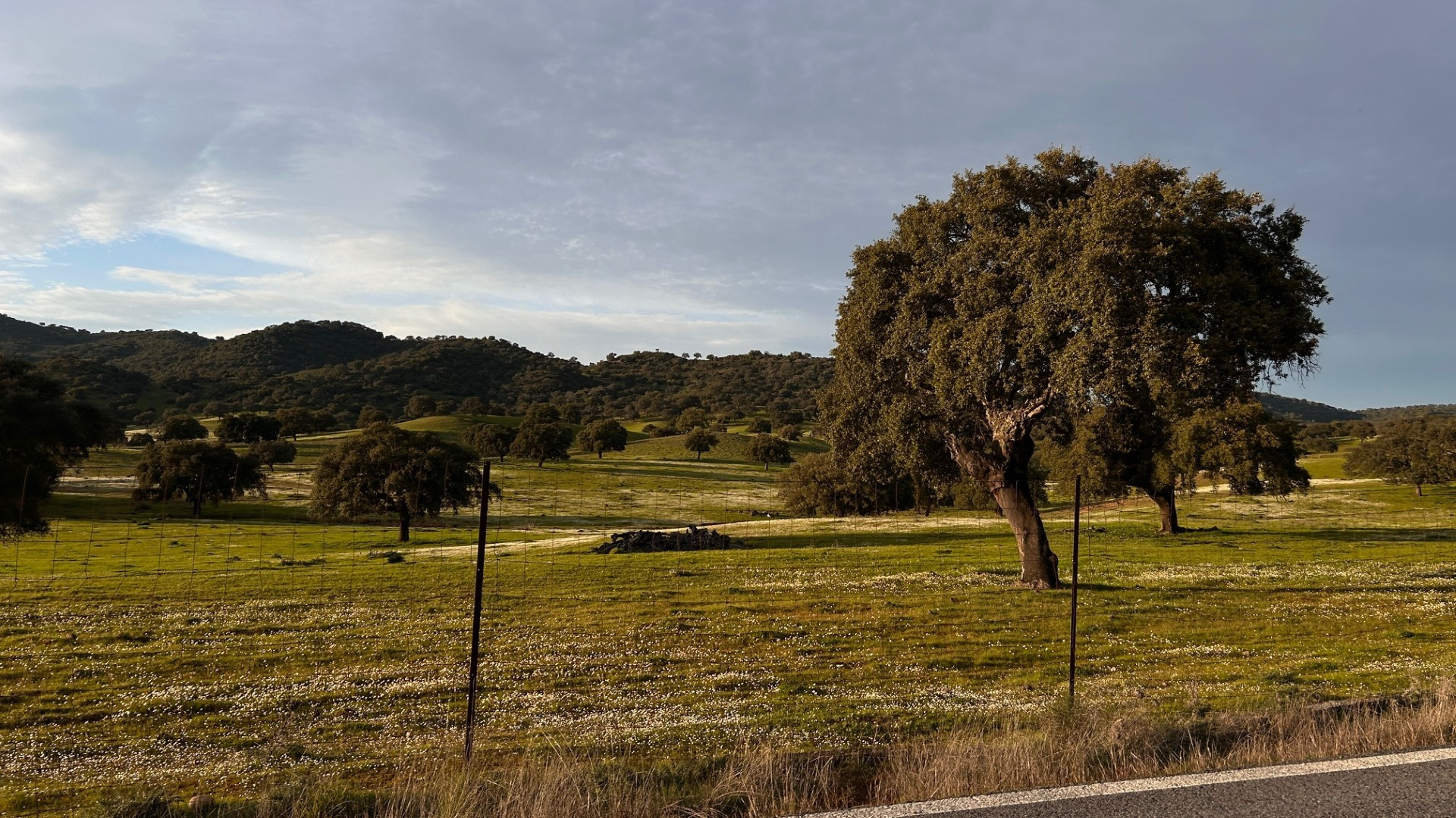 Córdoba acogerá en diciembre la tercera edición de Expo Aire, la gran cita nacional del ecoturismo y los espacios naturales