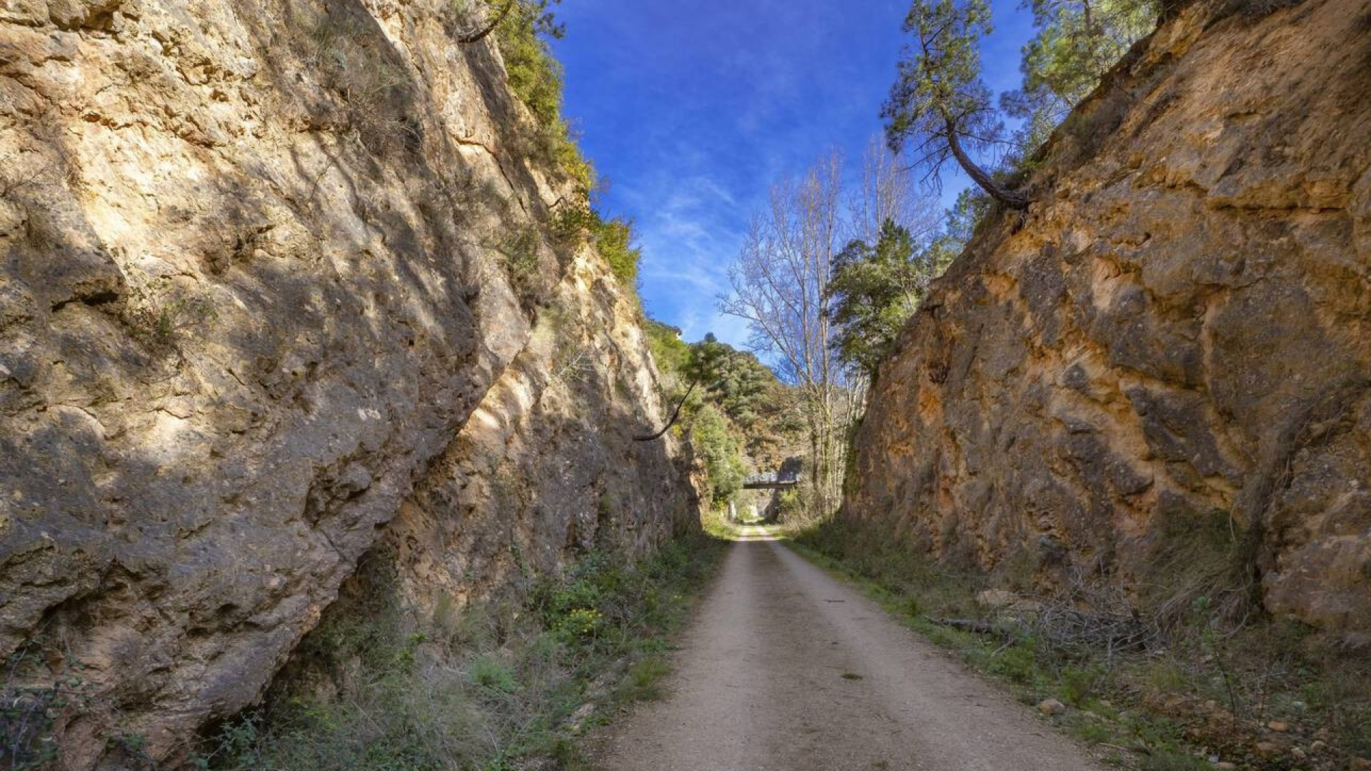 Hallan a un cazador de 70 años muerto con un golpe en la cabeza en Oña (Burgos)