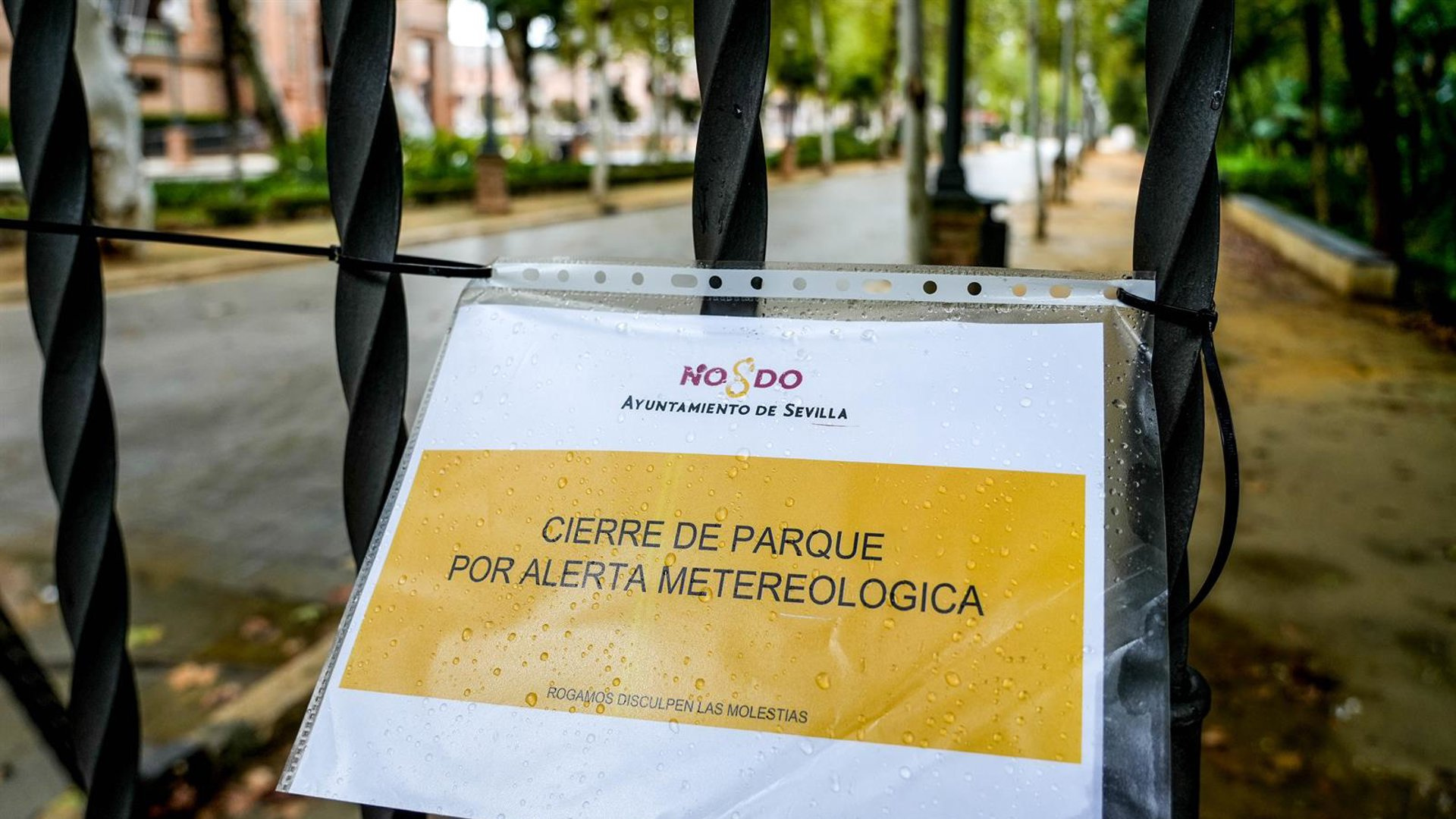 Este jueves, aviso amarillo por lluvias, tormentas y vientos, nuevamente en Sevilla