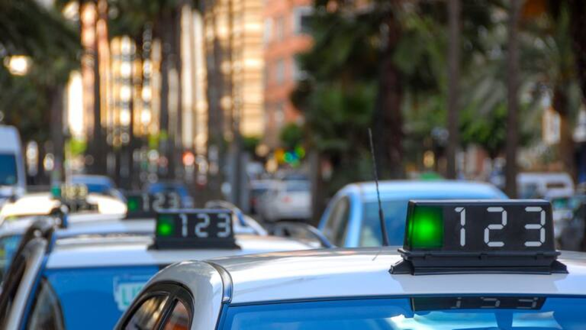 Lorca expande su servicio de taxi rural a 19 pedanías para conectar el municipio