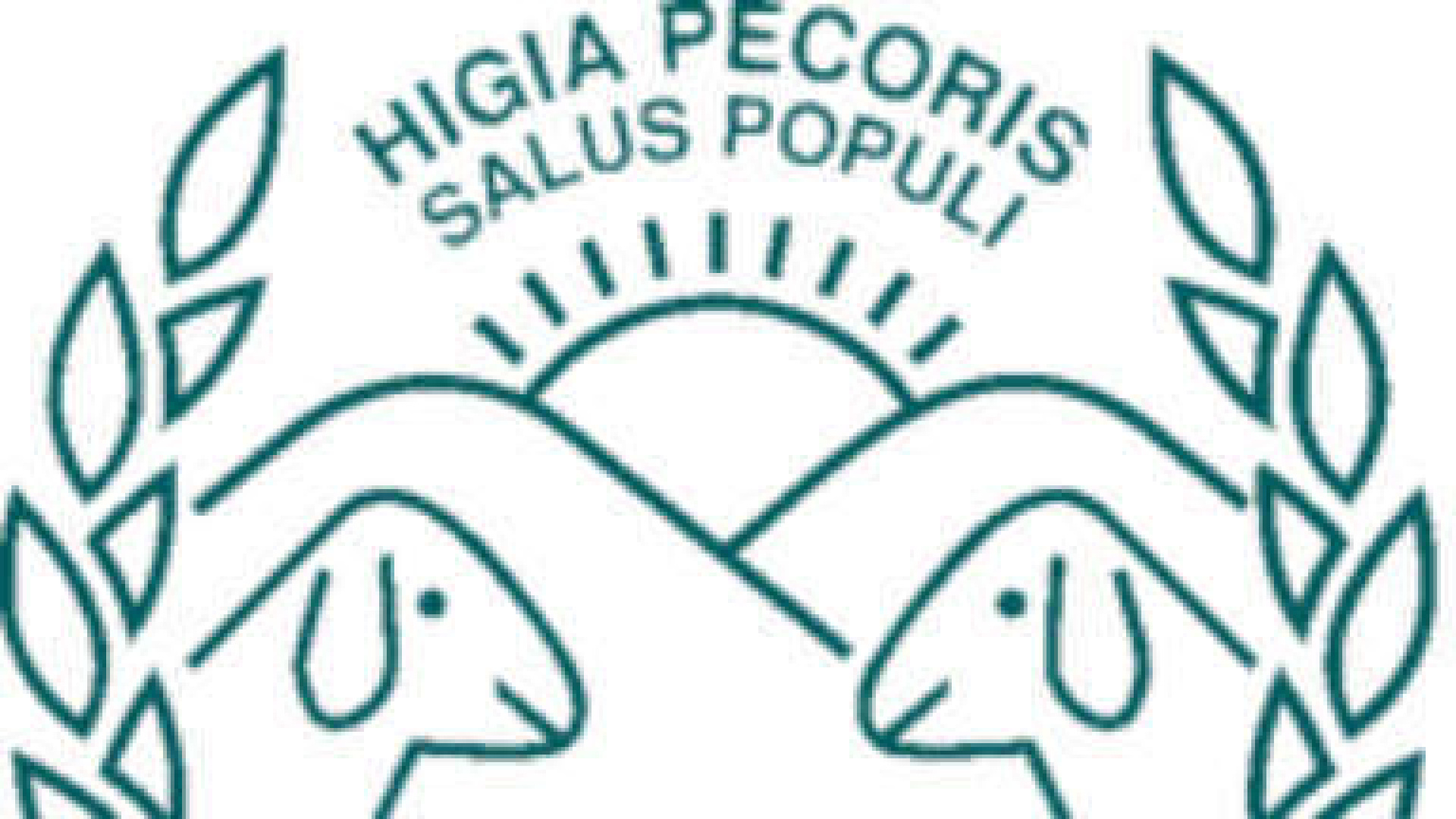 Los veterinarios de Ciudad Real exigen más reconocimiento