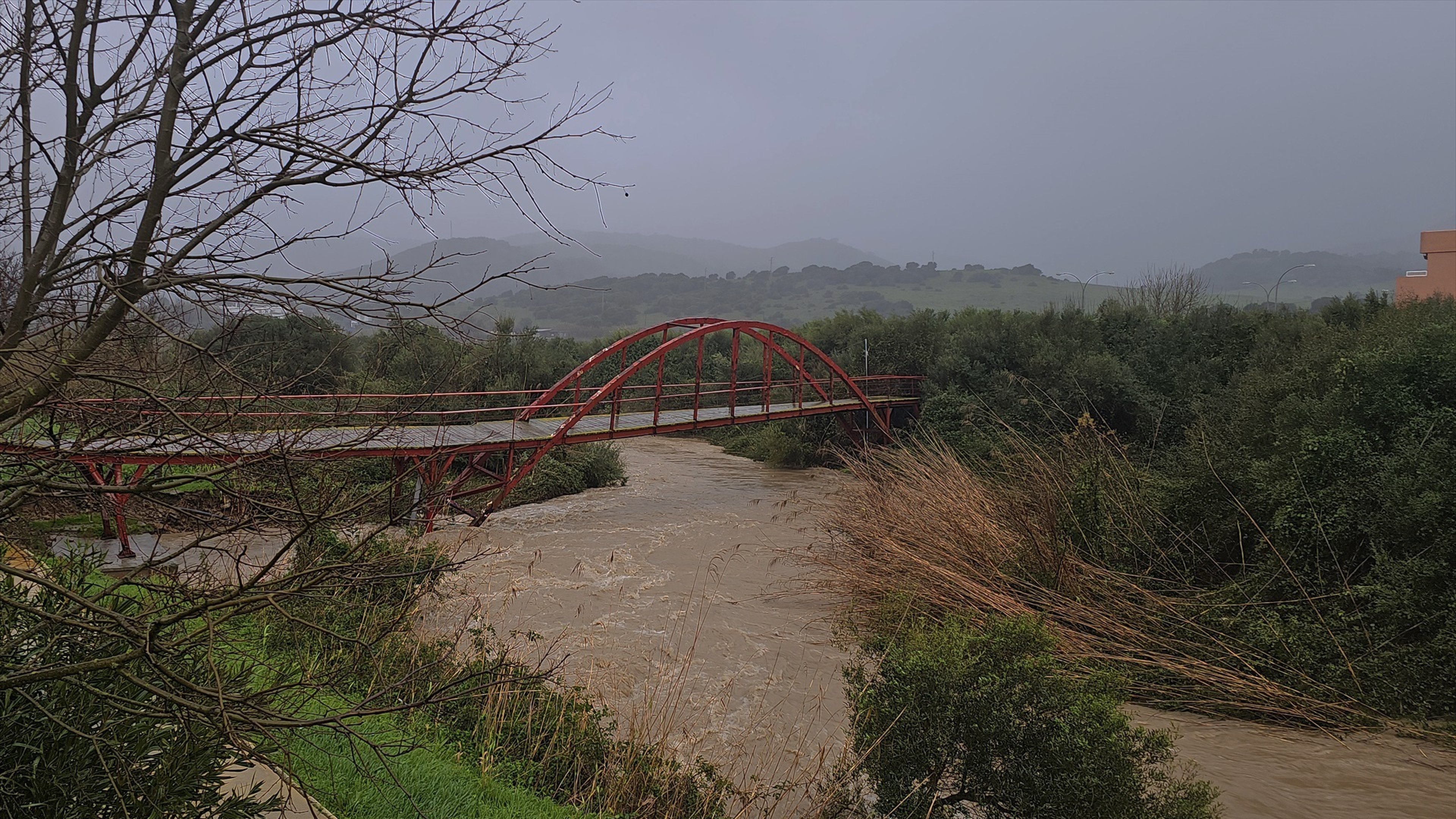 El PSOE reclama a la Junta ayudas directas para paliar los daños del temporal al campo extremeño
