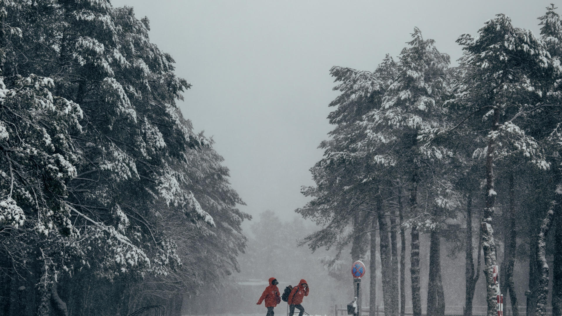 Aviso de la AEMET por hasta 30 centímetros de nieve este viernes: el puente de mayo en Madrid empieza con frío