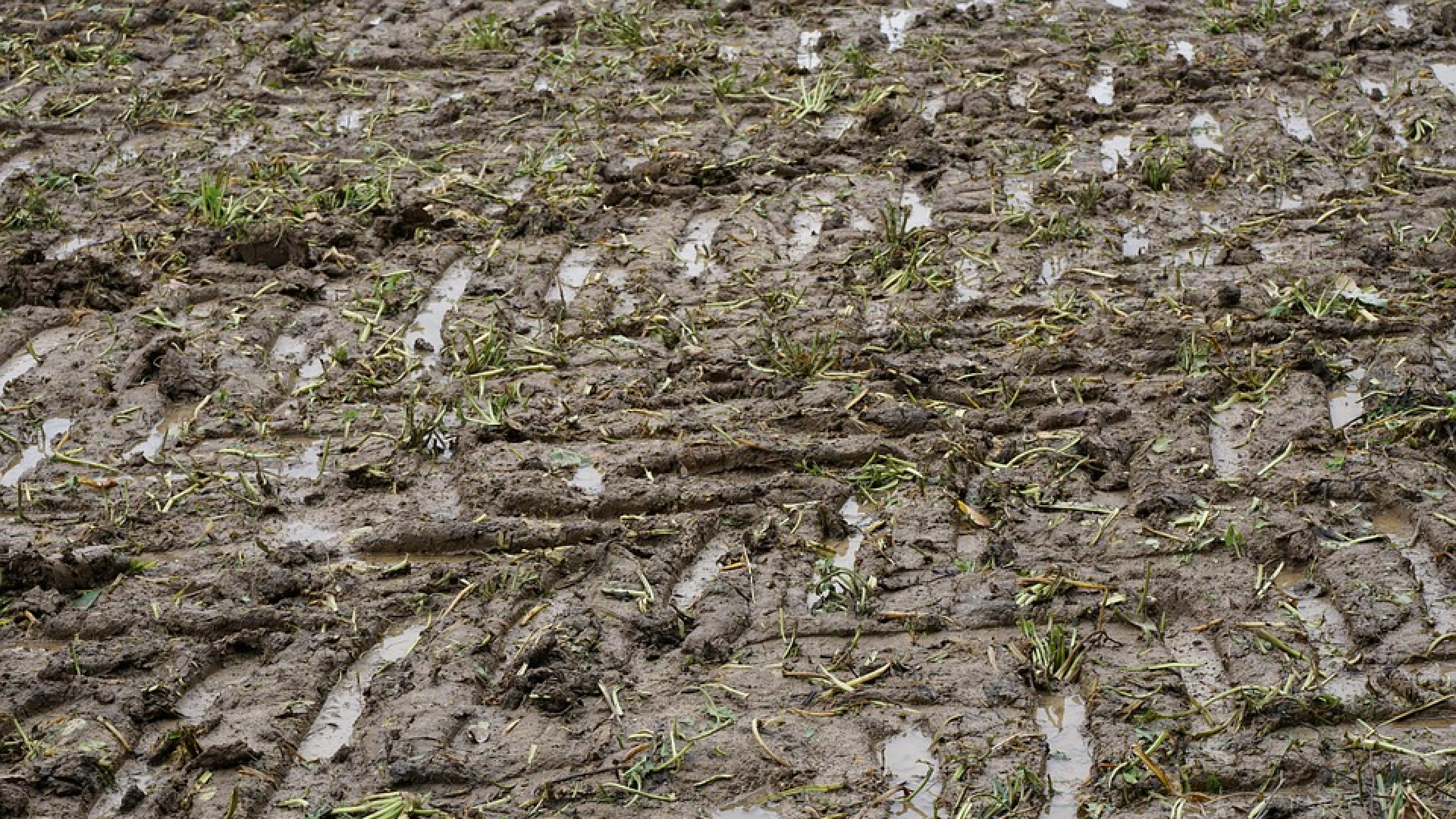 Las lluvias torrenciales ahogan el campo de Salamanca y ponen en jaque las cosechas