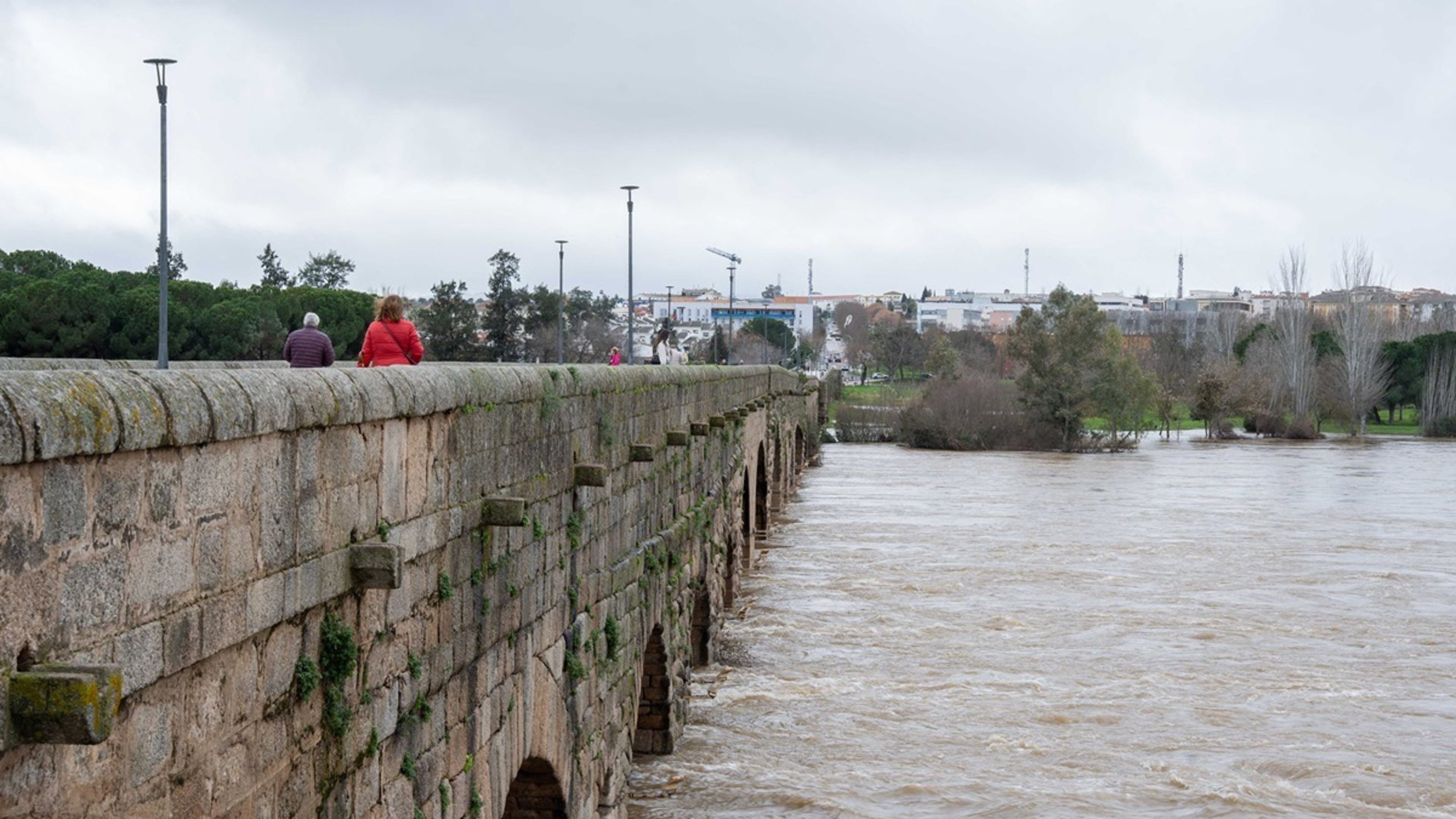 El Ayuntamiento de Mérida mantendrá abierta esta semana la oficina de atención por el temporal