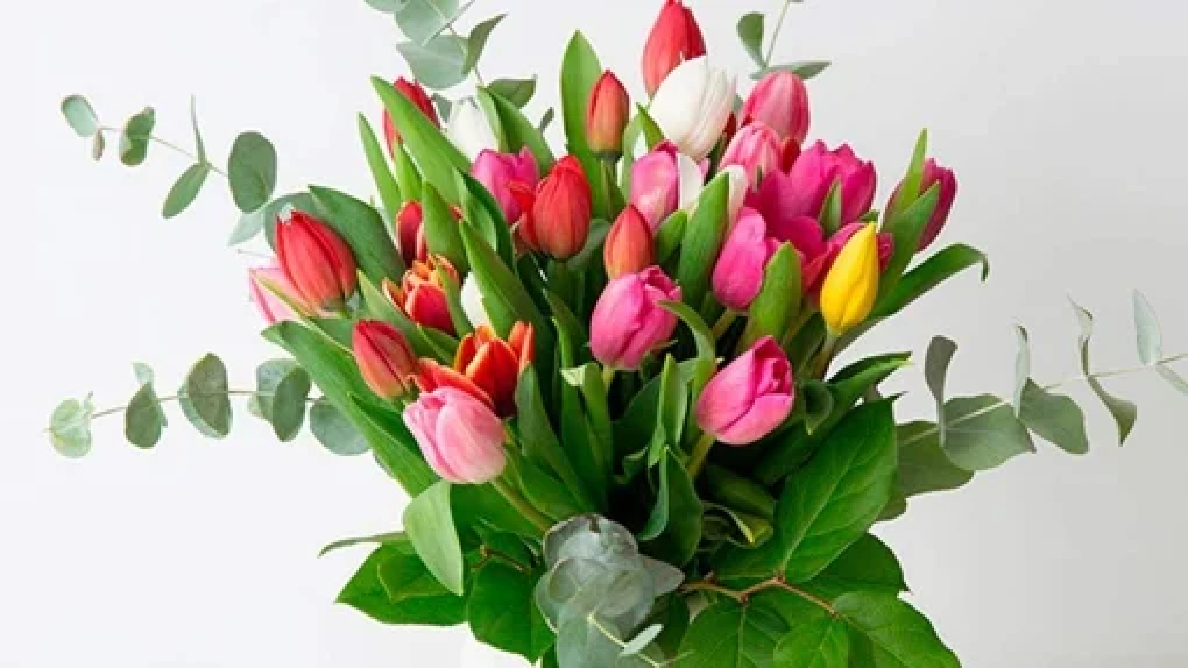 El mercado de las flores se rebela: del regalo tradicional al autocuidado y la sostenibilidad