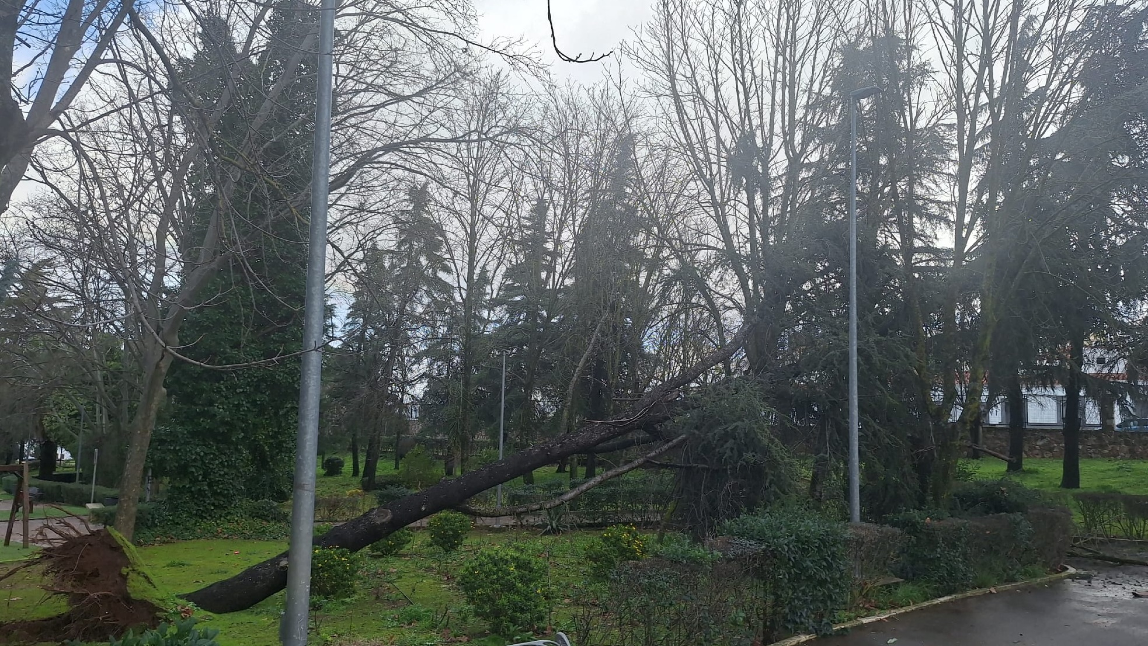 Los Santos de Maimona activa un plan de choque para reparar los daños del temporal