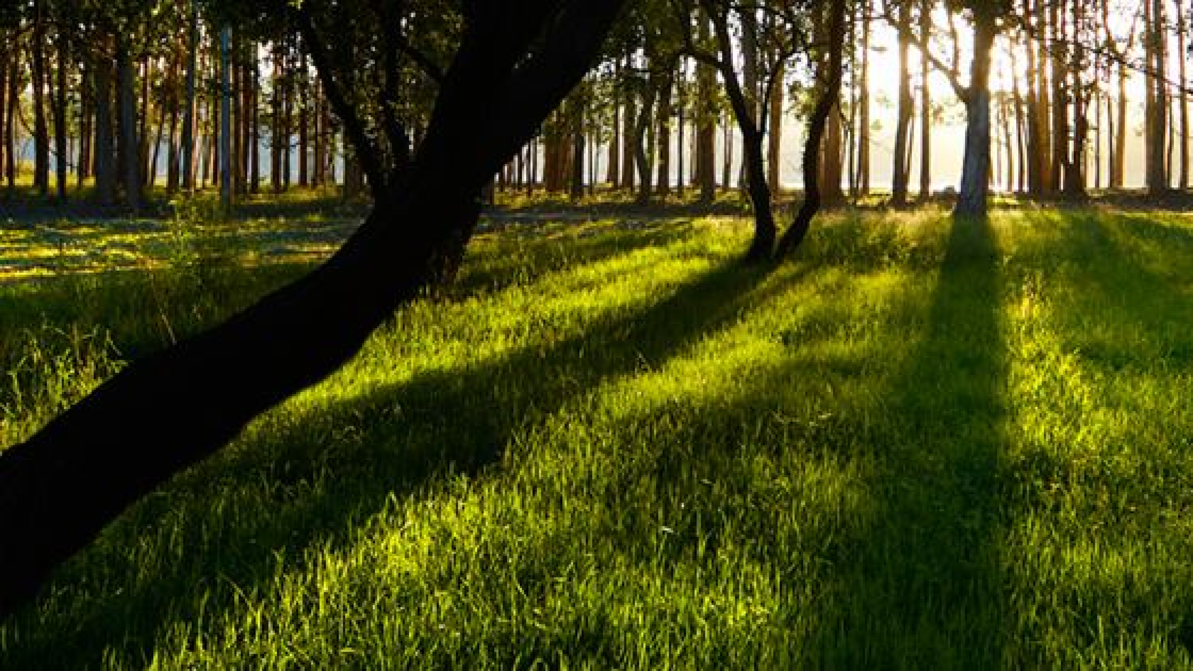 Huelva se erige como la capital europea de la transformación energética sostenible