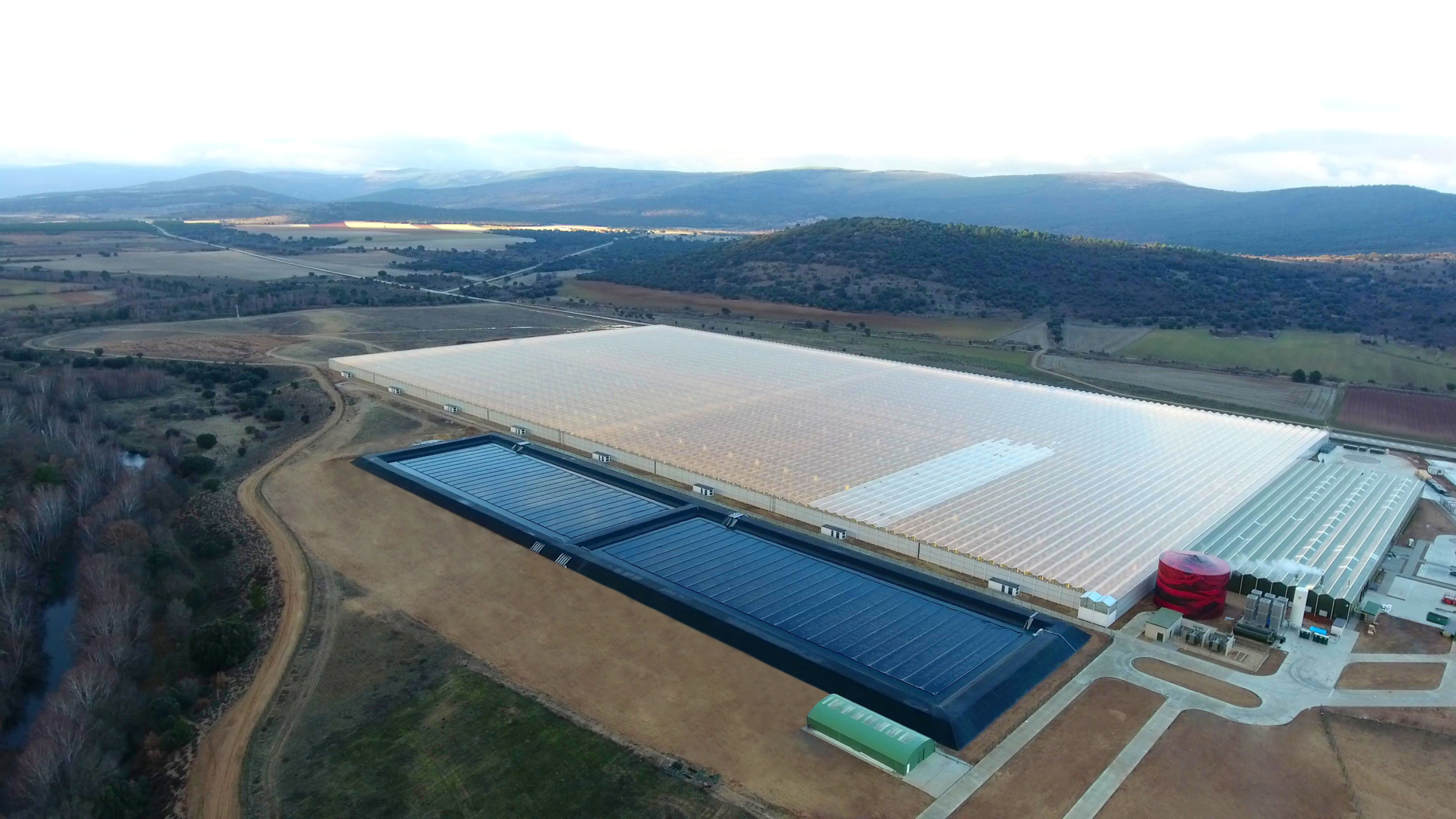 La salvación de Ondara en Soria: un cliente millonario y un SOS a la Junta para producir 9 toneladas de cannabis