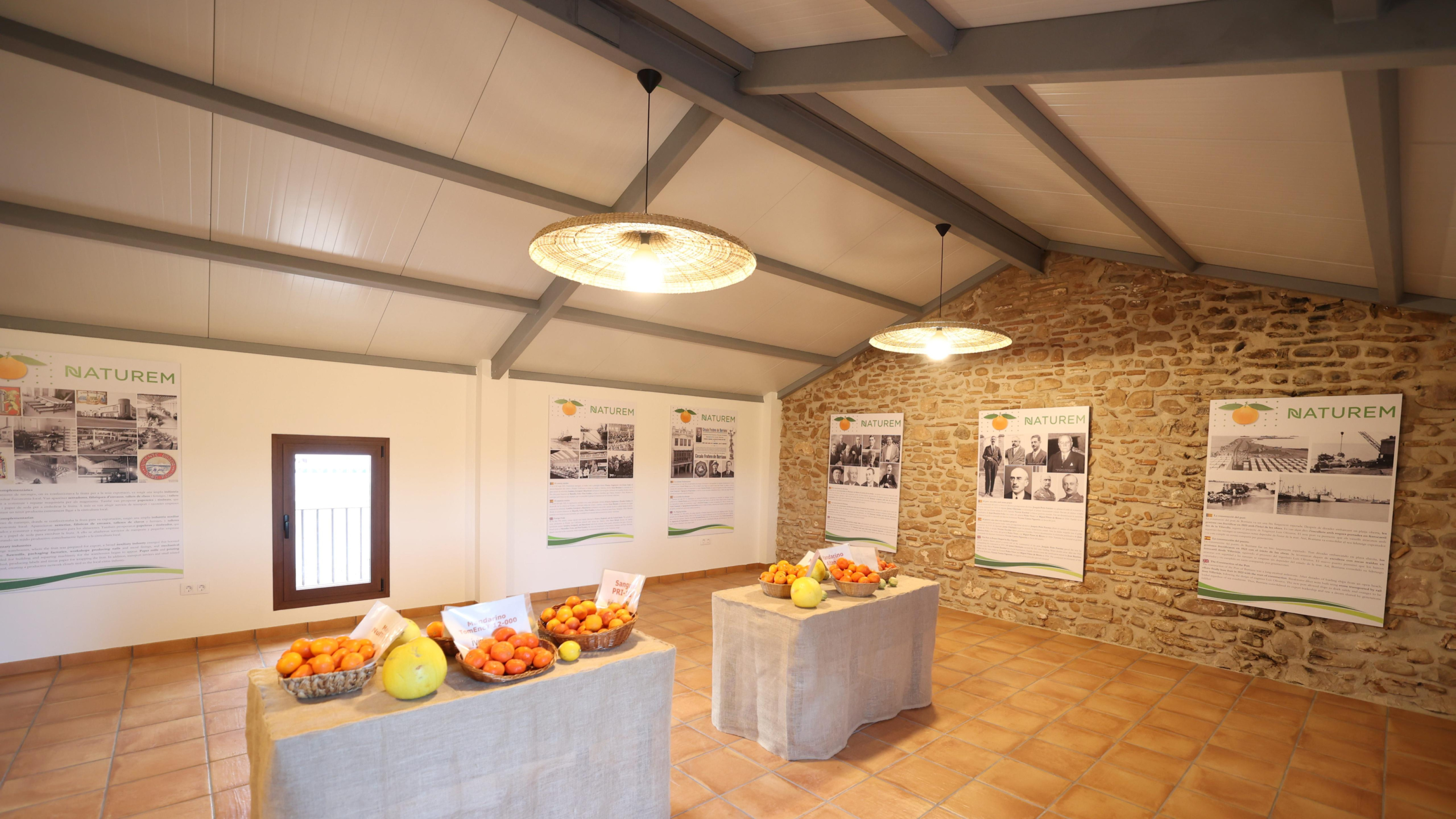 Burriana inaugura su gran tesoro citrícola para reivindicar la historia y el futuro de la naranja