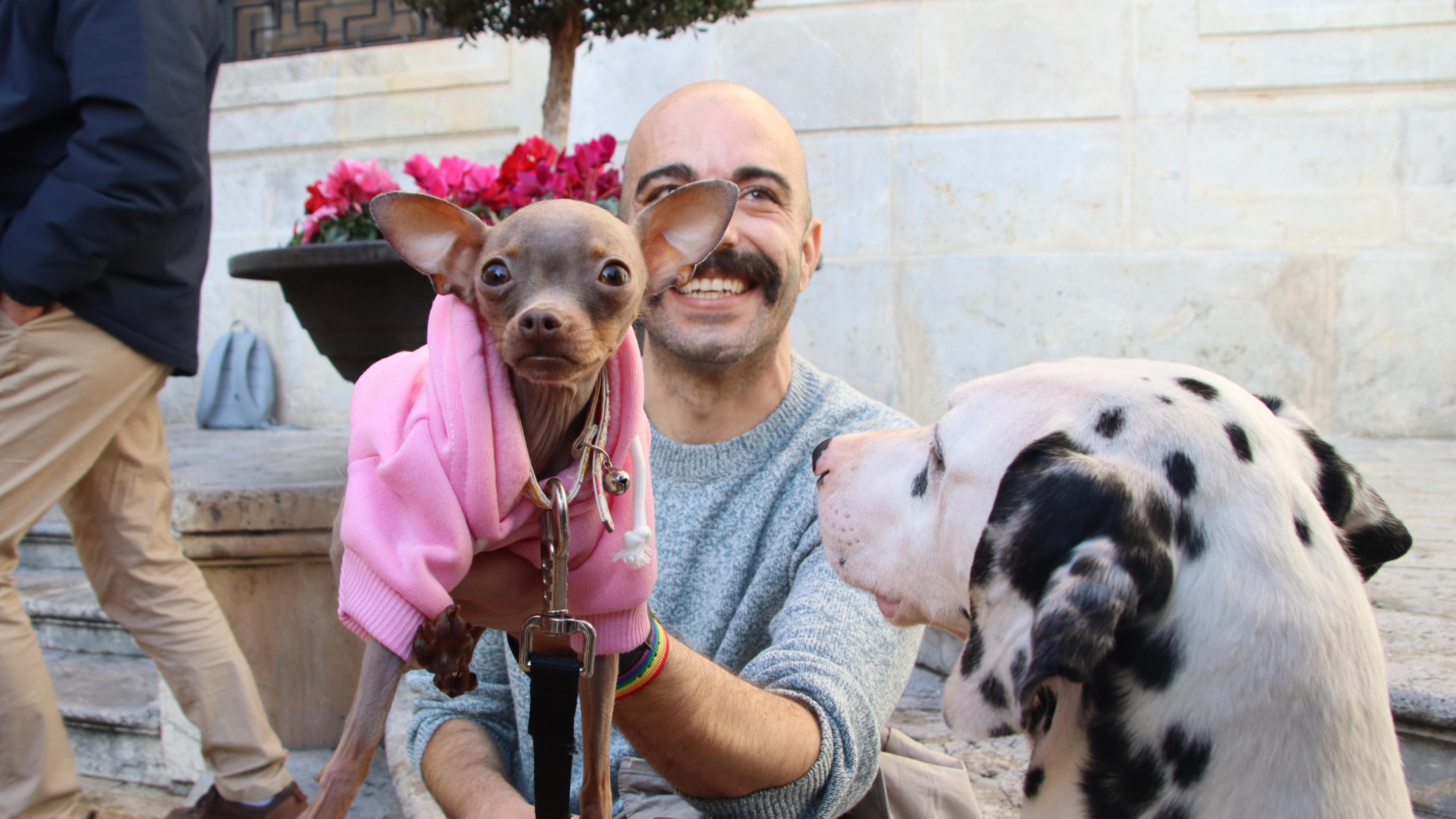 Se acabó la impunidad: Tarragona utilizará el ADN para identificar y sancionar a los propietarios que no recojan los excrementos de sus perros