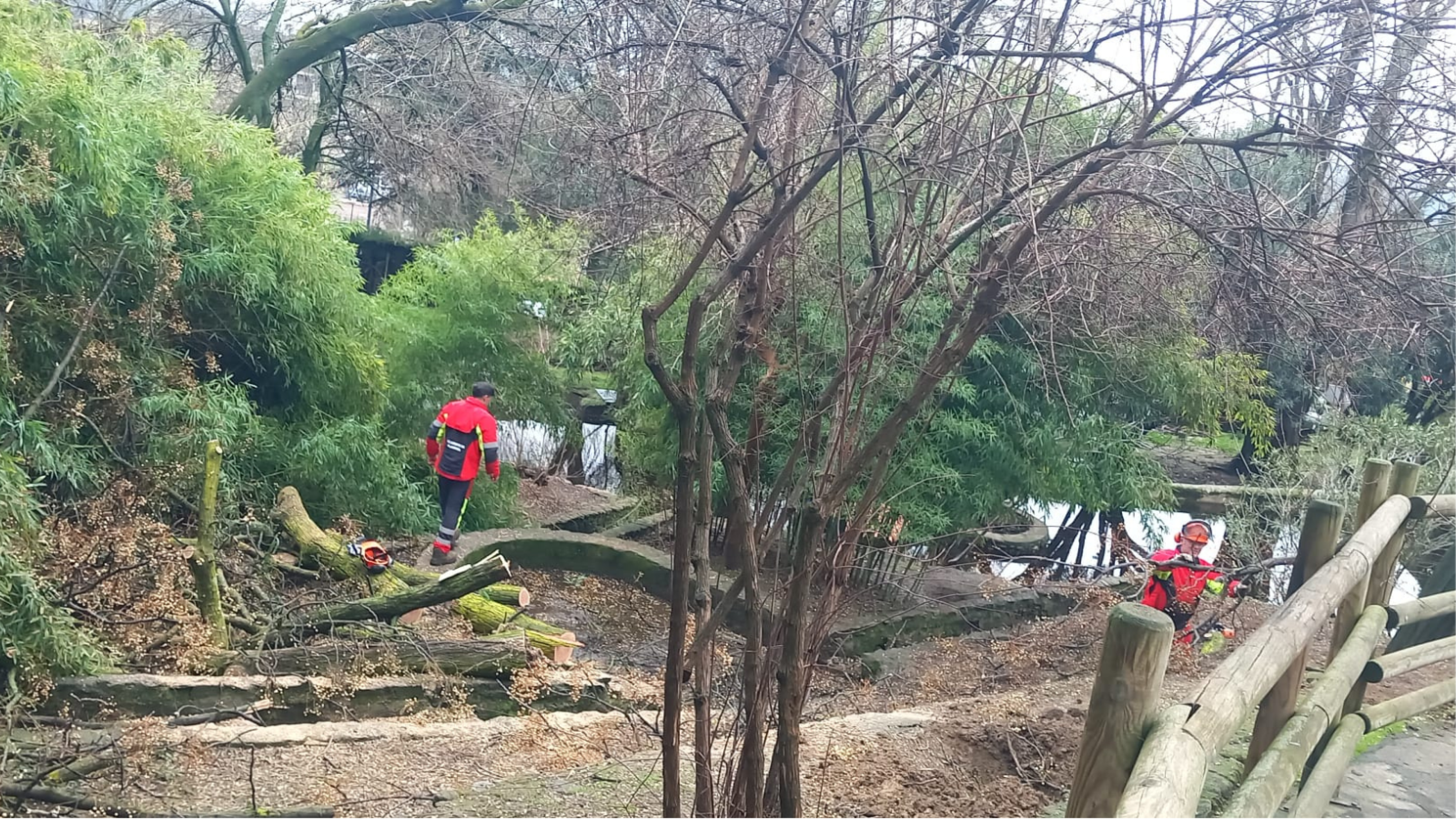 Plasencia no reabrirá el parque “Los Pinos” hasta garantizar su uso con seguridad