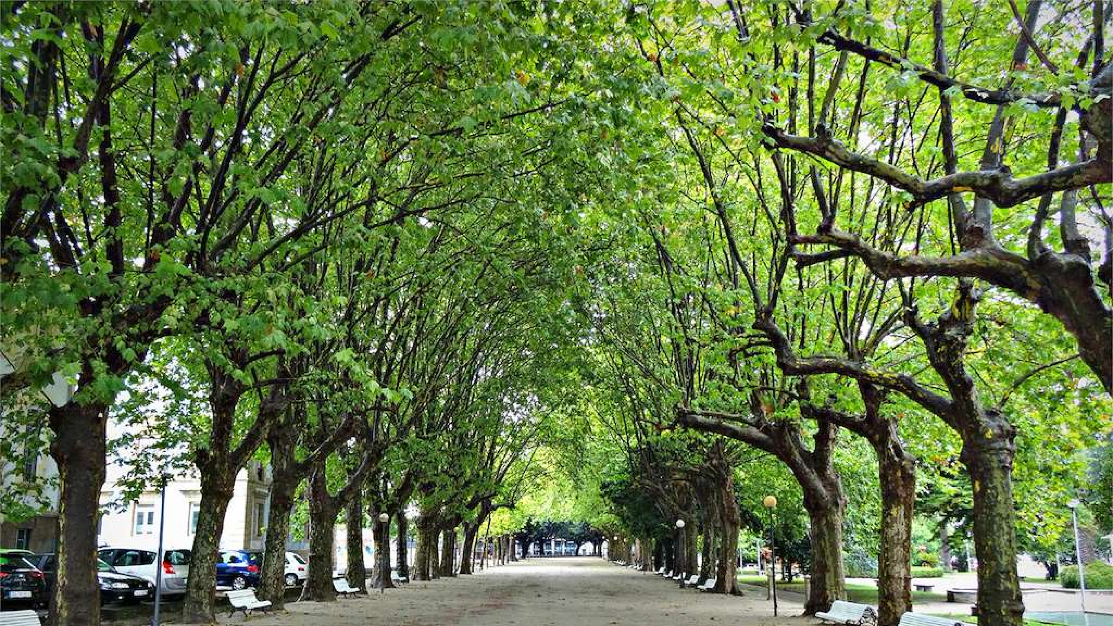 La bióloga María José Leira alerta sobre el proyecto "Abrir Ferrol al mar"