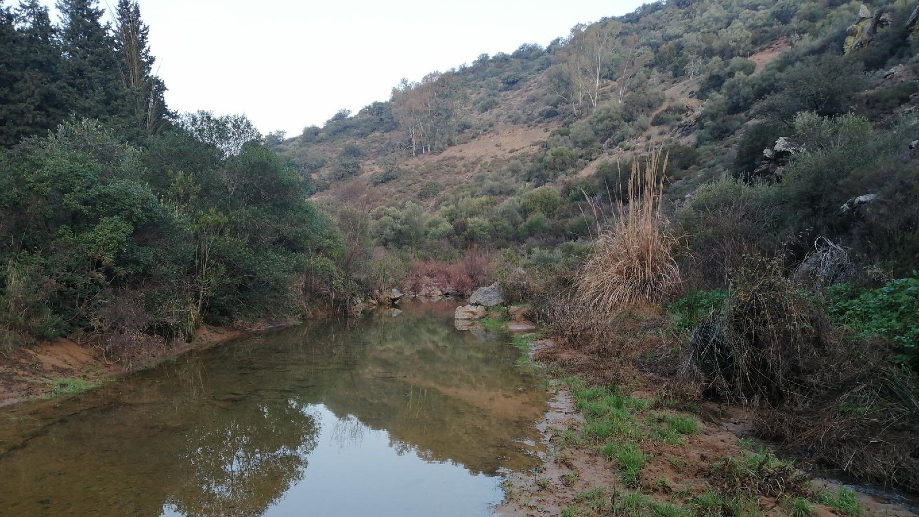 Rescatada una mujer atrapada en su coche por la crecida de un arroyo en Belvís de la Jara (Toledo)