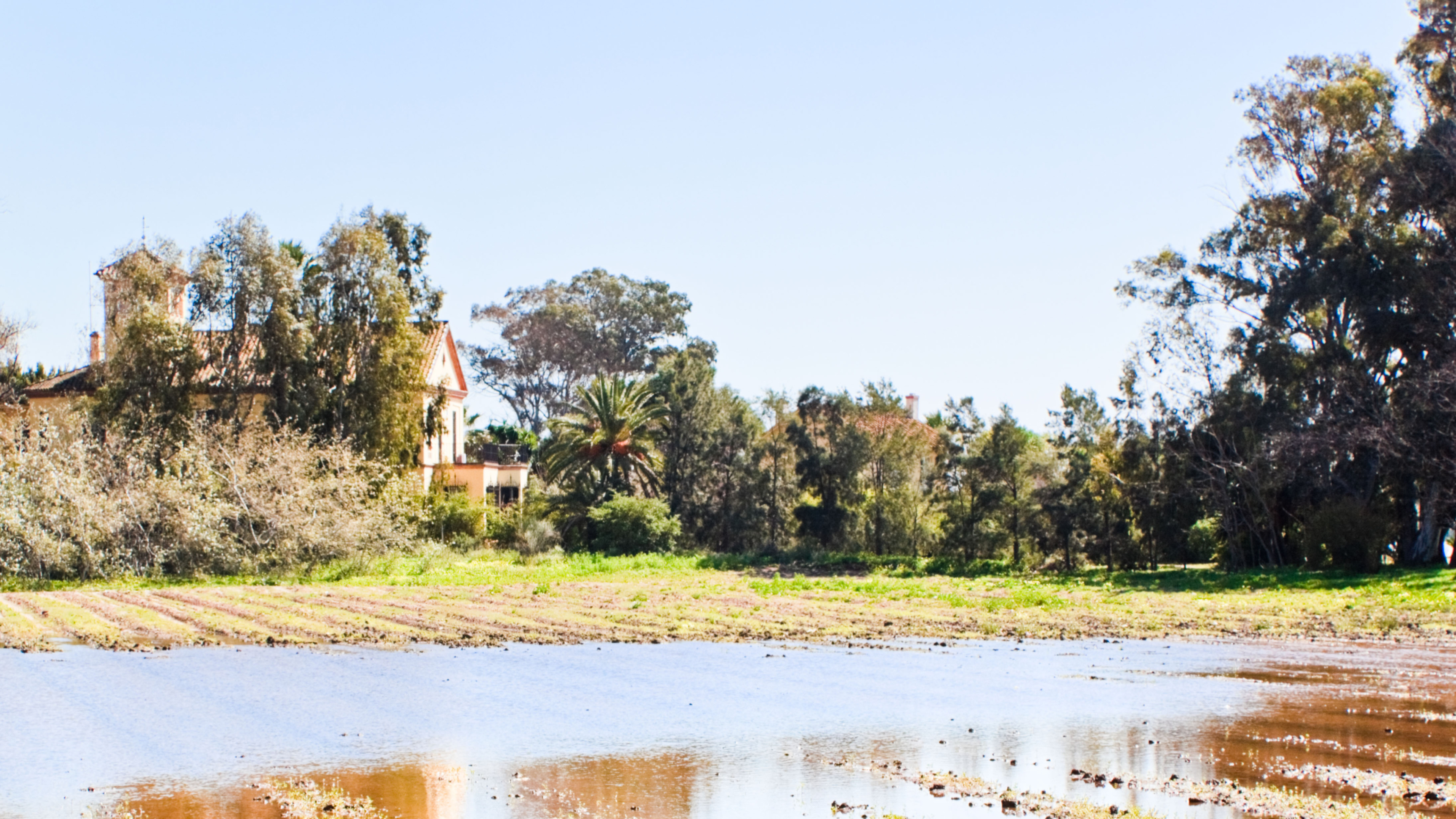 Cristóbal Torres, agricultor sobre las pérdidas: "Está en el suelo, se esta pudriendo... prácticamente esto va a ser perdido todo"