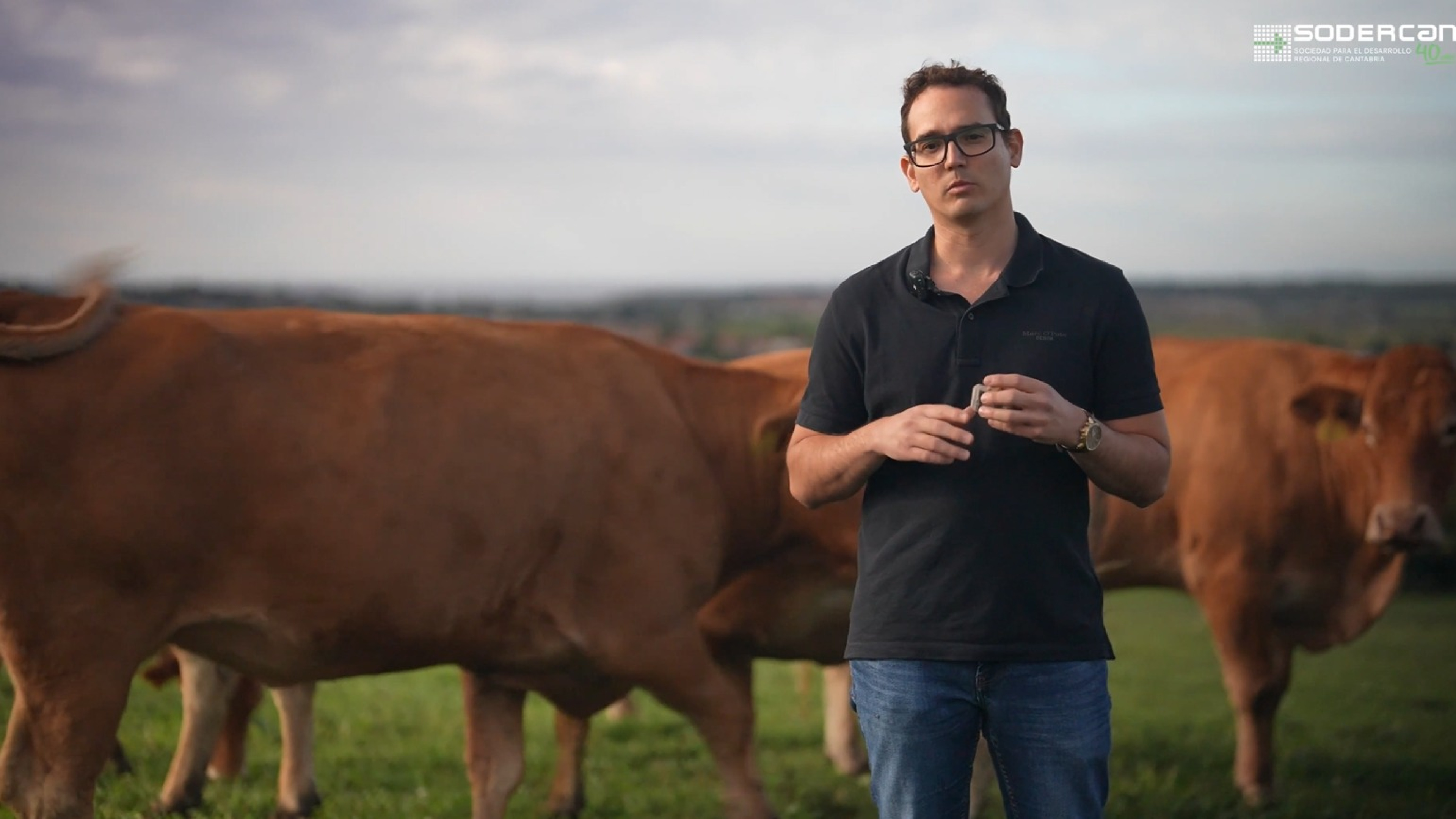 Imagina que con un dispositivo dentro de las vacas pudieras predecir sus enfermedades: "Les está cambiando la vida a los ganaderos"