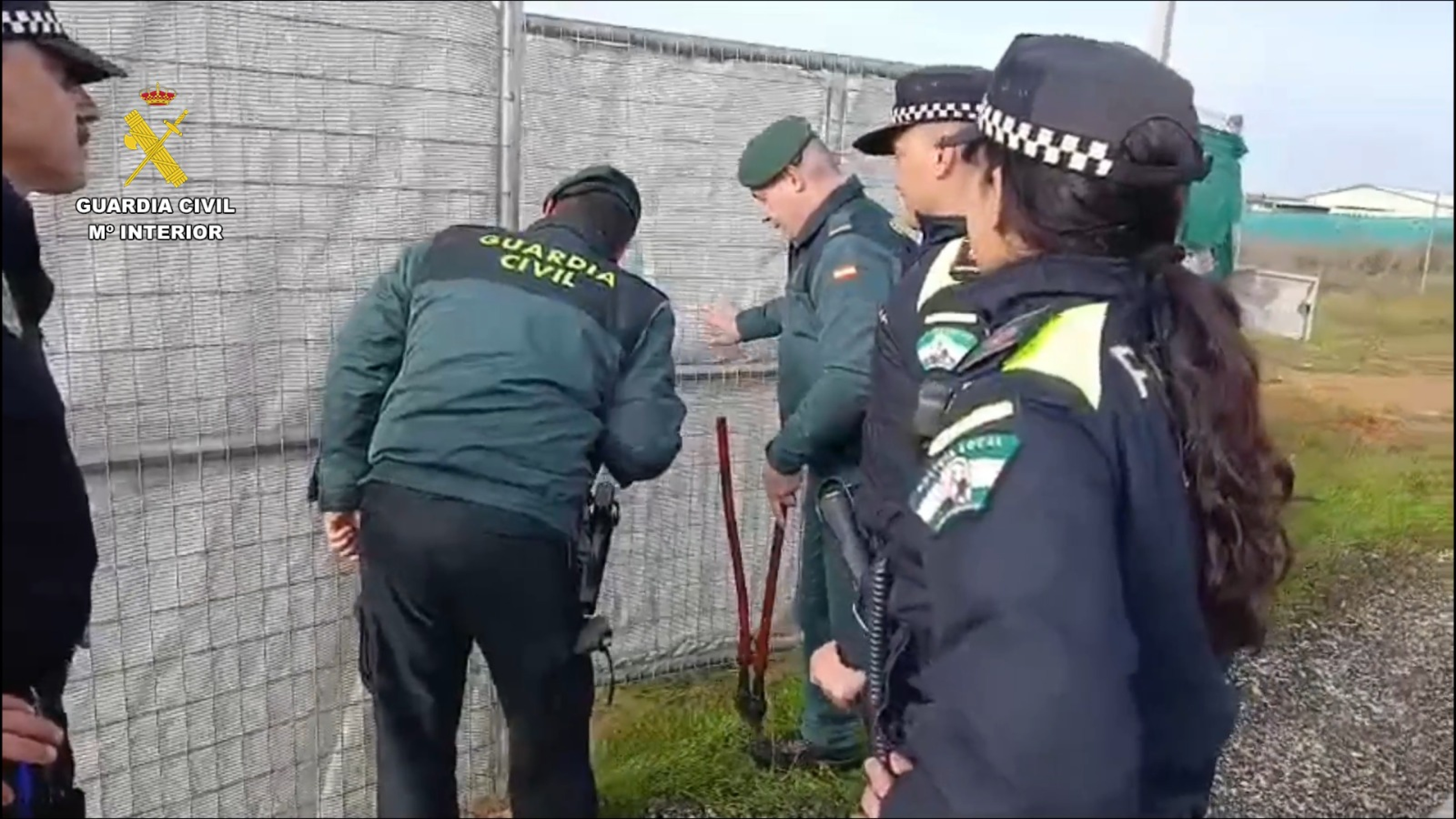 La Guardia Civil desmantela una 'ciudad' ilegal en Dos Hermanas con 115 investigados