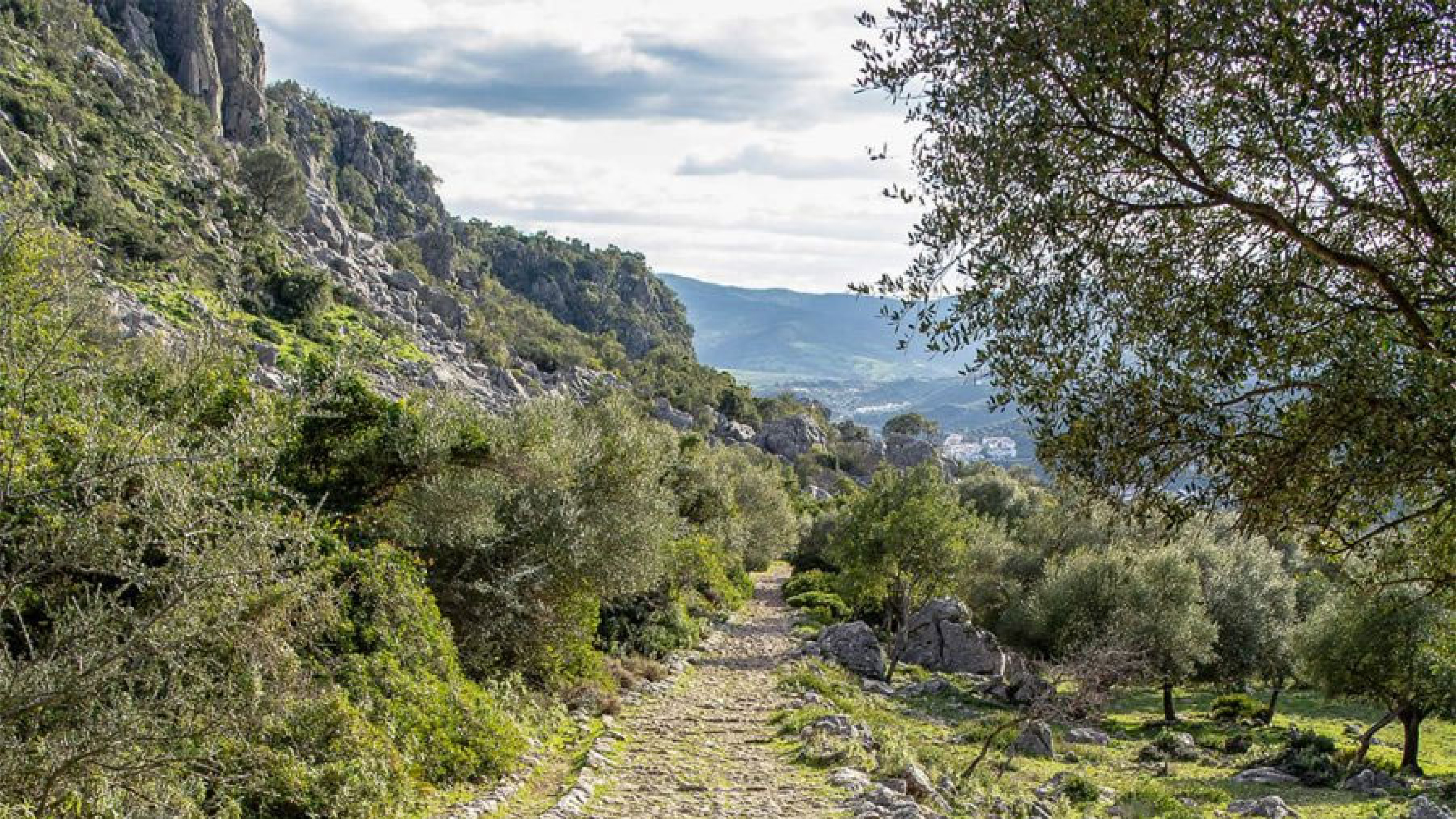 Socavones y deterioros en los cantos de la calzada romana de Ubrique: cuando las borrascas también inundan la historia