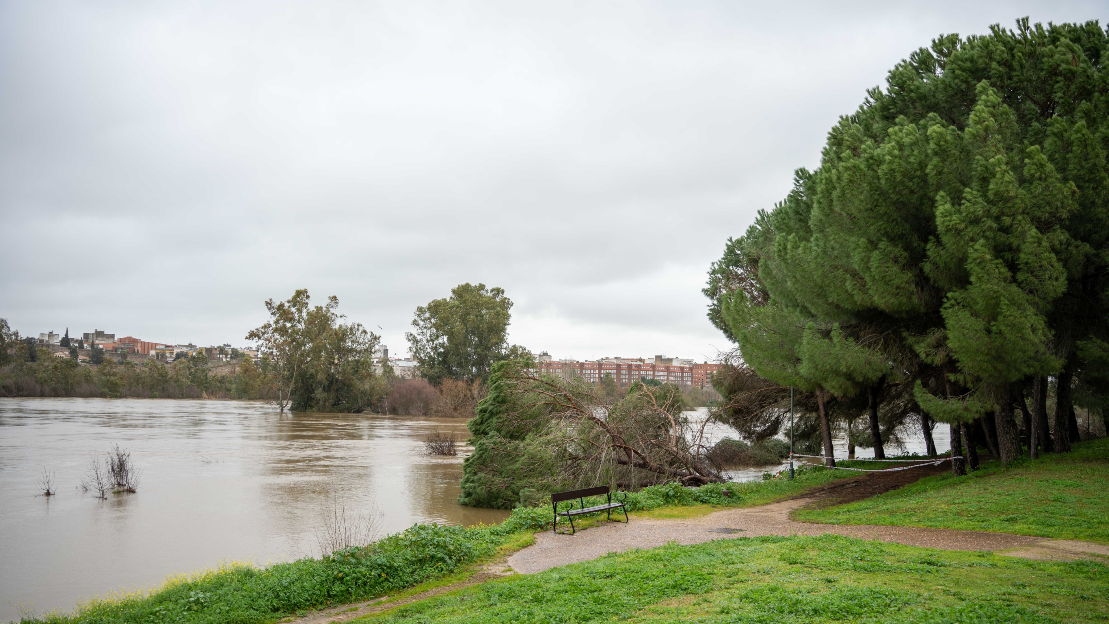 Mérida activa la alerta por riesgo de inundaciones ante la crecida del Guadiana