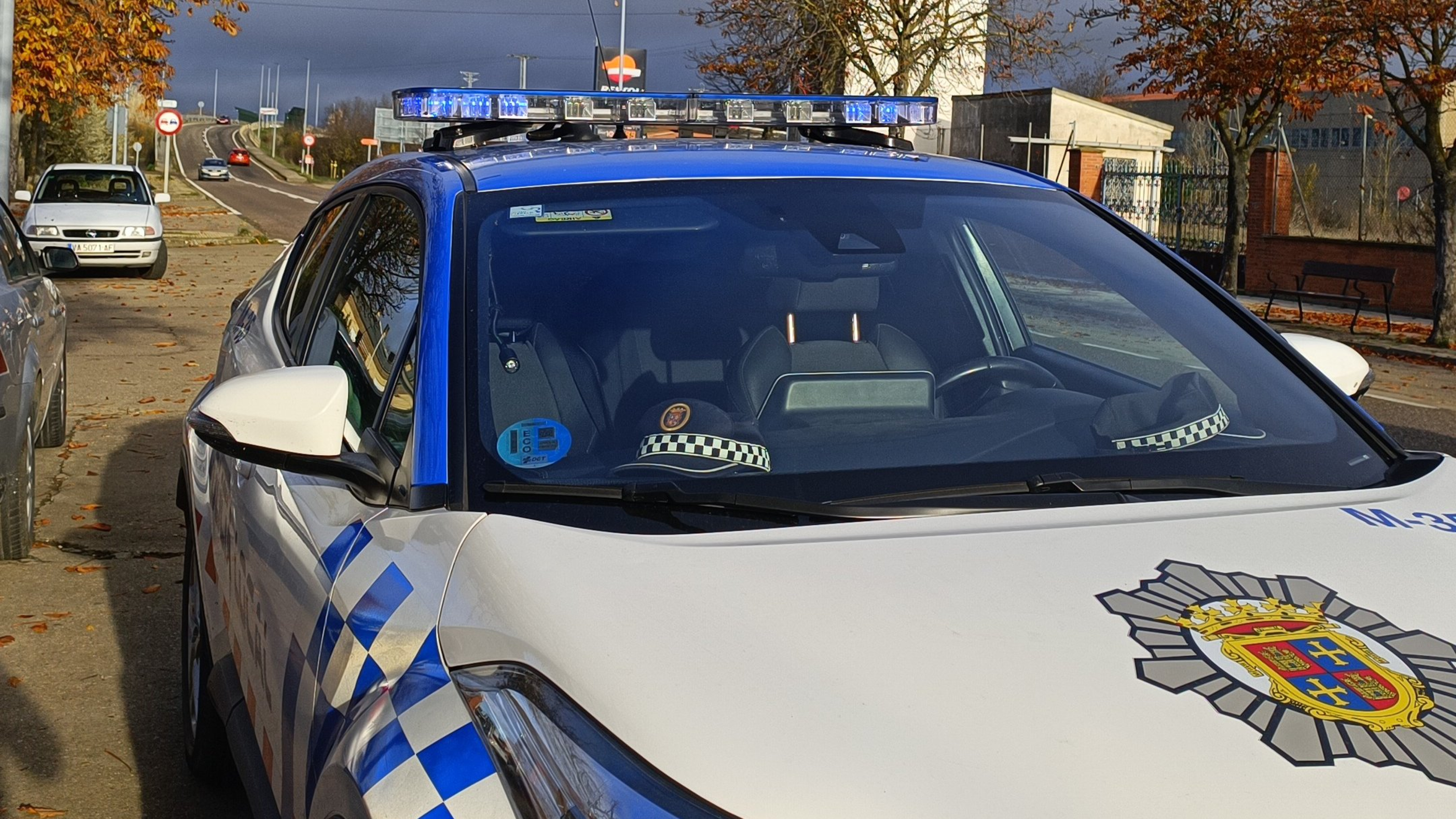 Los efectos del fuerte viento en Palencia: cae una rama sobre un coche y precintan todos los parques de la ciudad