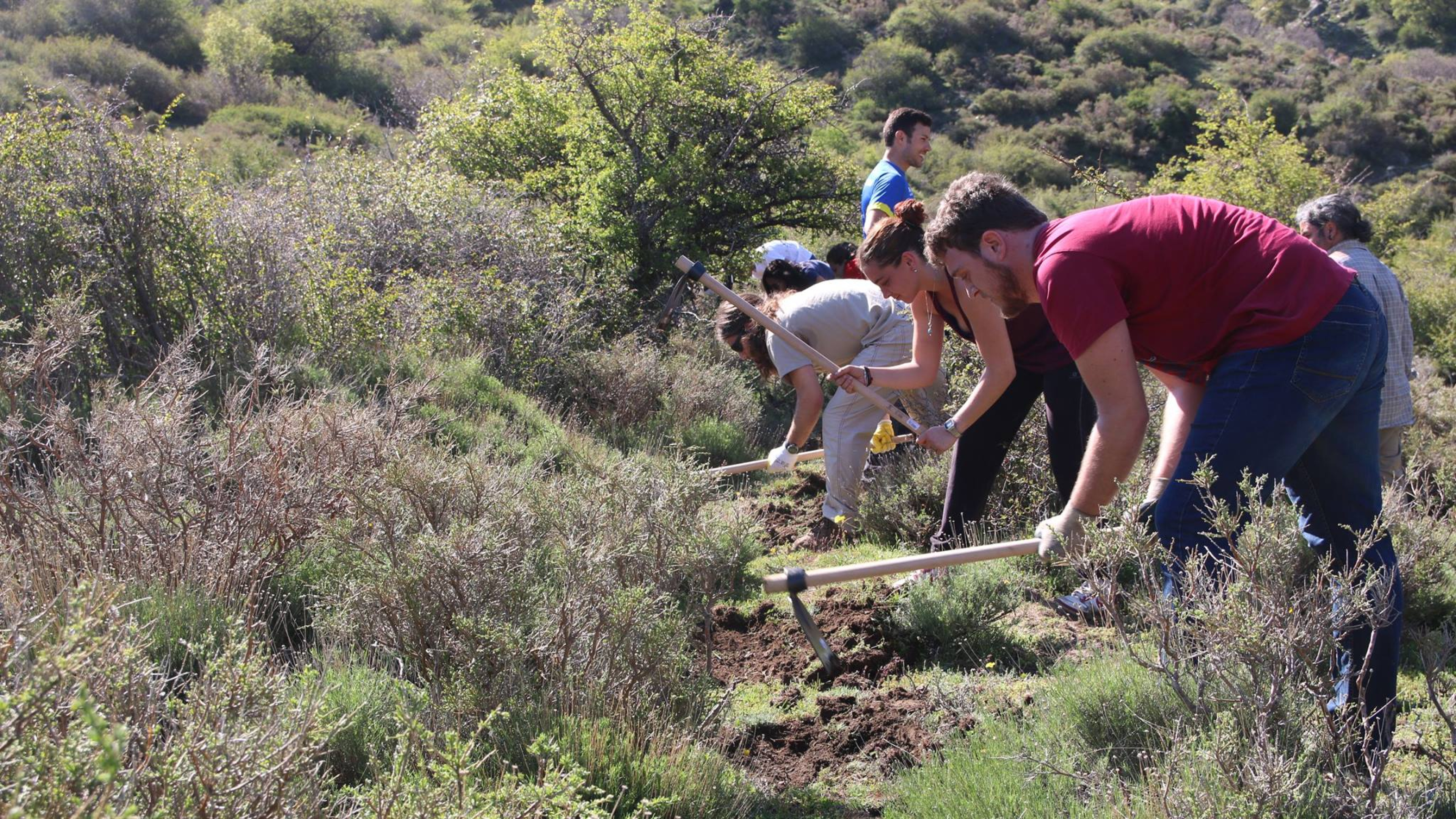 Rescatan en Almería un paisaje agrario abandonado durante 35 años