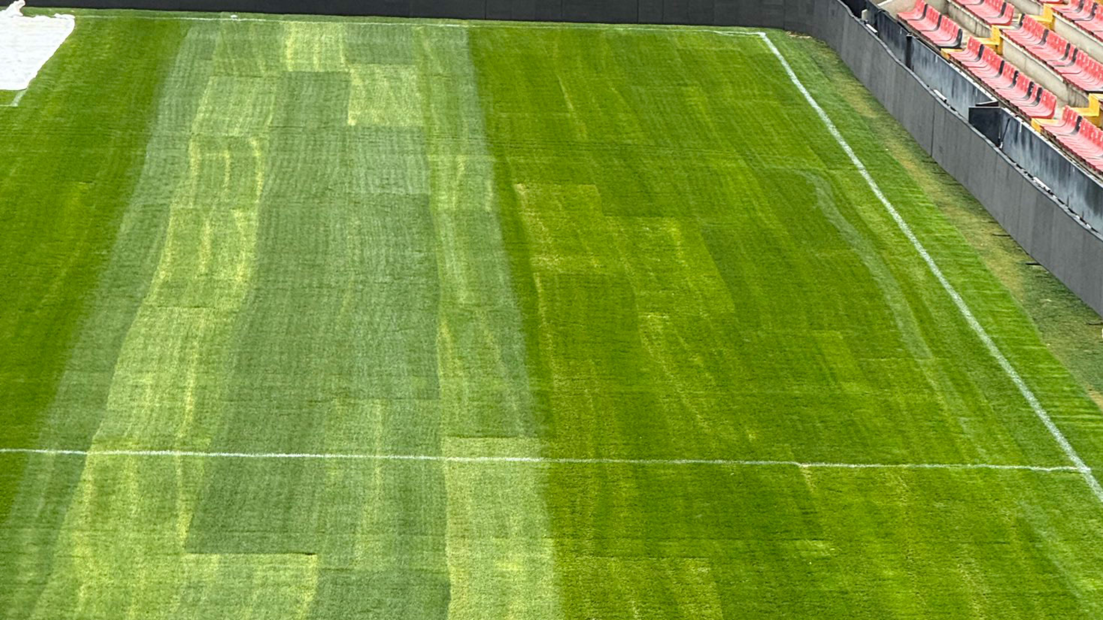 Memes con el césped del estadio del Rayo mientras sigue en el aire dónde se va a jugar el partido