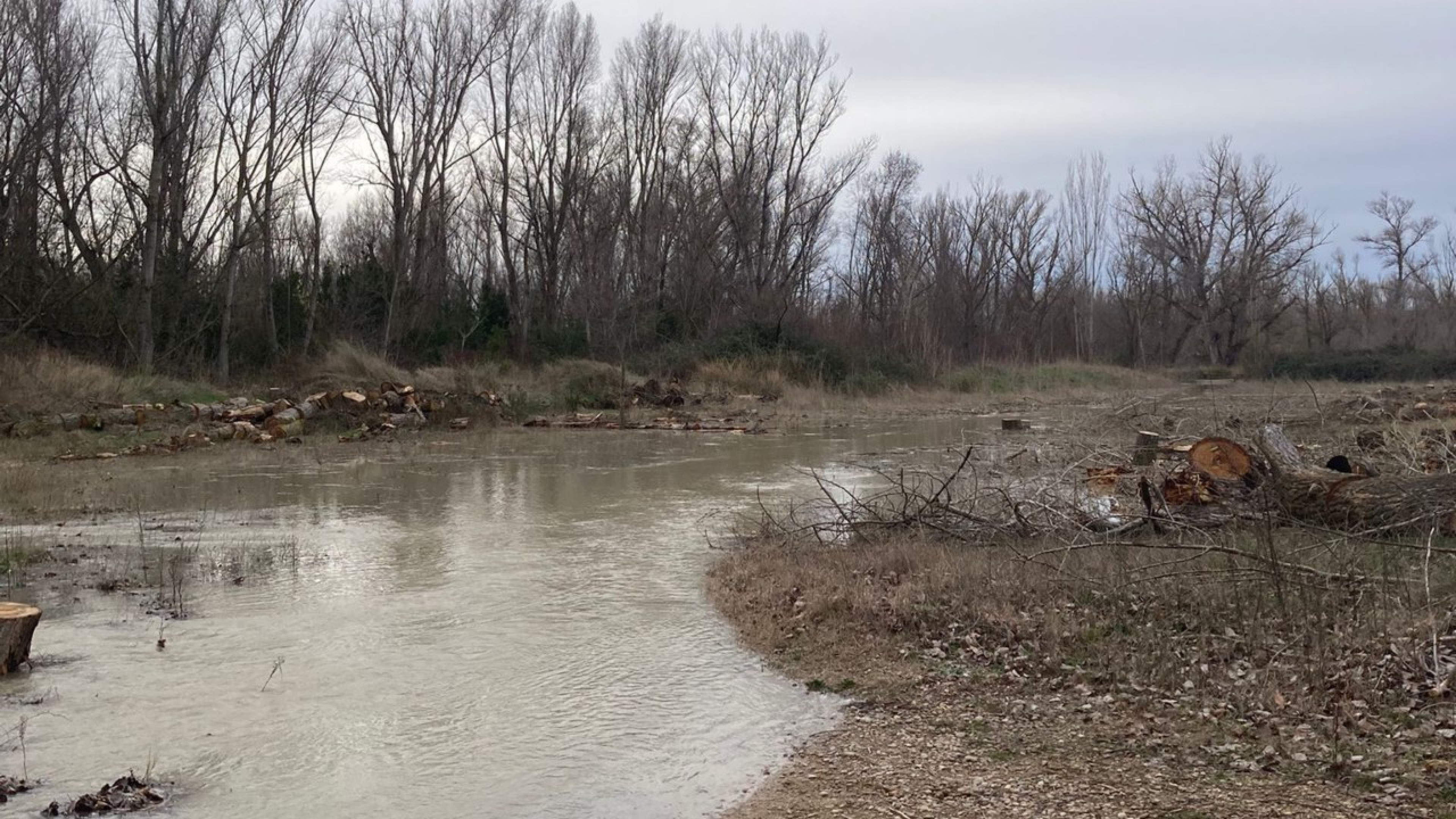 Activan el Plan de Inundaciones por la crecida del río Gállego en Zuera